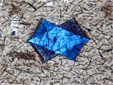 Crystal within Obsidian: Polarized light was used to reveal the twinned structure of this unidentified crystal in obsidian. Photomicrograph by Nathan Renfro; field of view 0.25mm.