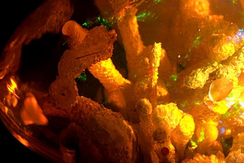 The Internal World of Gemstones