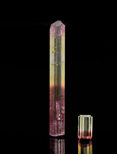 Tourmaline var. elbaite from the Himalaya Mine, Mesa Grande District, San Diego County, CA. Rough (Inv. #22831) measures 7.5 x 1 cm and the 11.32-carat cut stone (Inv. #22814) measures 1.6 x 9.2 cm. (Photo: Mia Dixon)