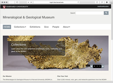 Saturday presenter Raquel Alonso-Perez is curator of the oldest university collection in the United States. She recently unveiled the museum's newly refurbished website .