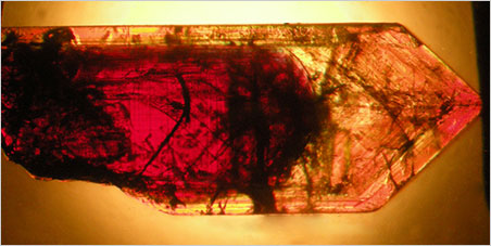 The chrysoberyl crystal is colour zoned, with a dark reddish purple core and an almost colourless overgrowth; the edges of the core are somewhat rounded. Immersion, incandescent light, view perpendicular to the a-axis (crystal measures 8.8 × 3.3 mm). (Photomicrograph: Karl Schmetzer)