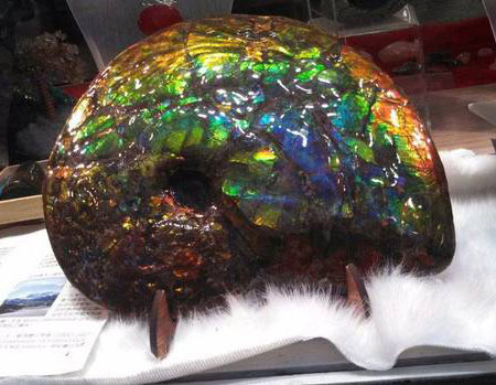 On the lam. Worth about a half a million dollars, this ammolite, stolen on December 20, is considered a national treasure. It is the same material used in jewelry currently on display at GIA, as we reported last month. (Handout photo released on Dec. 23, 2013)