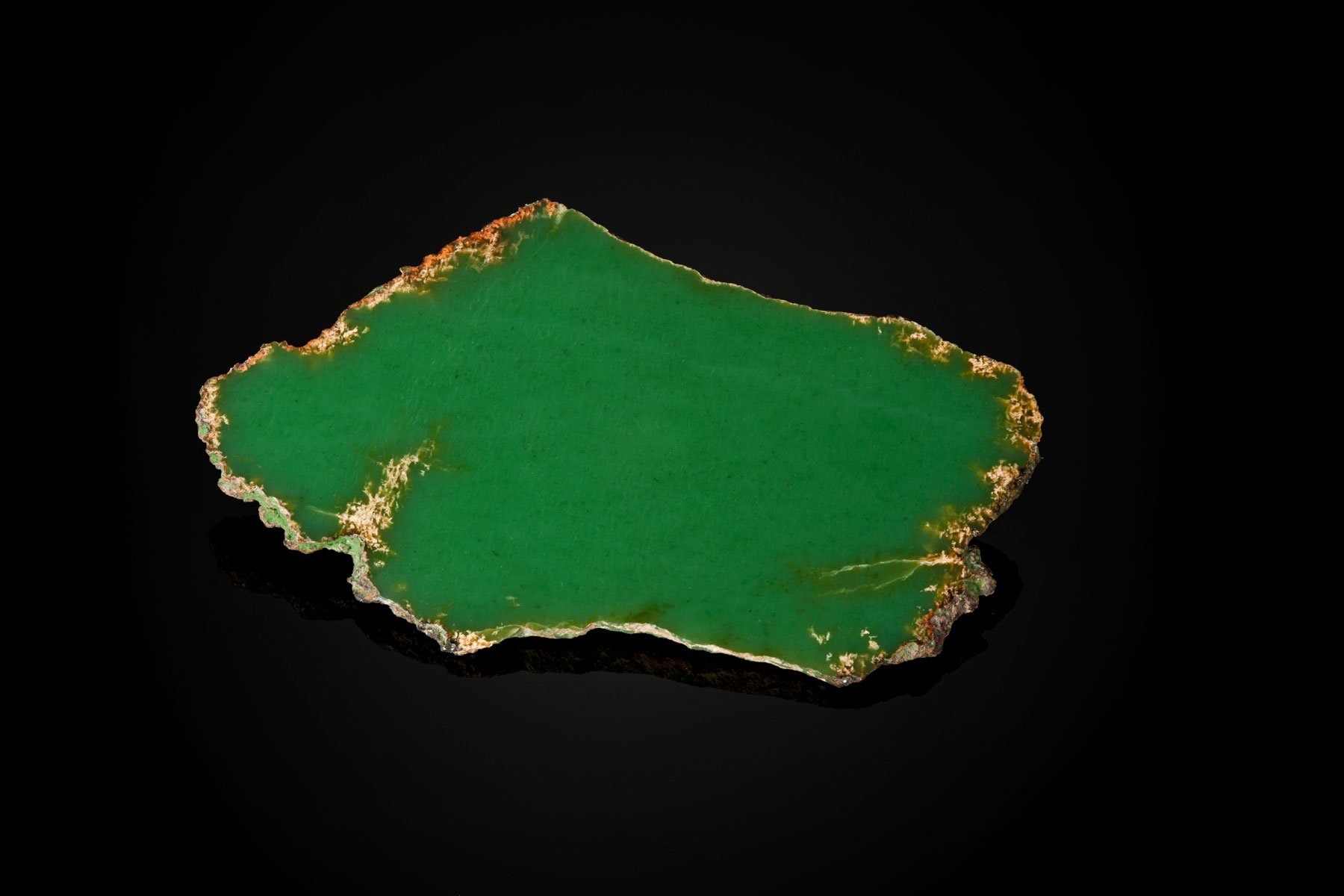 This is a fine example of the pure "apple green" color found in some serious Wyoming jade collections. This example is in the author's collection and is about 4" x 2½" and ¼" thick. (Photo: Robert Weldon)