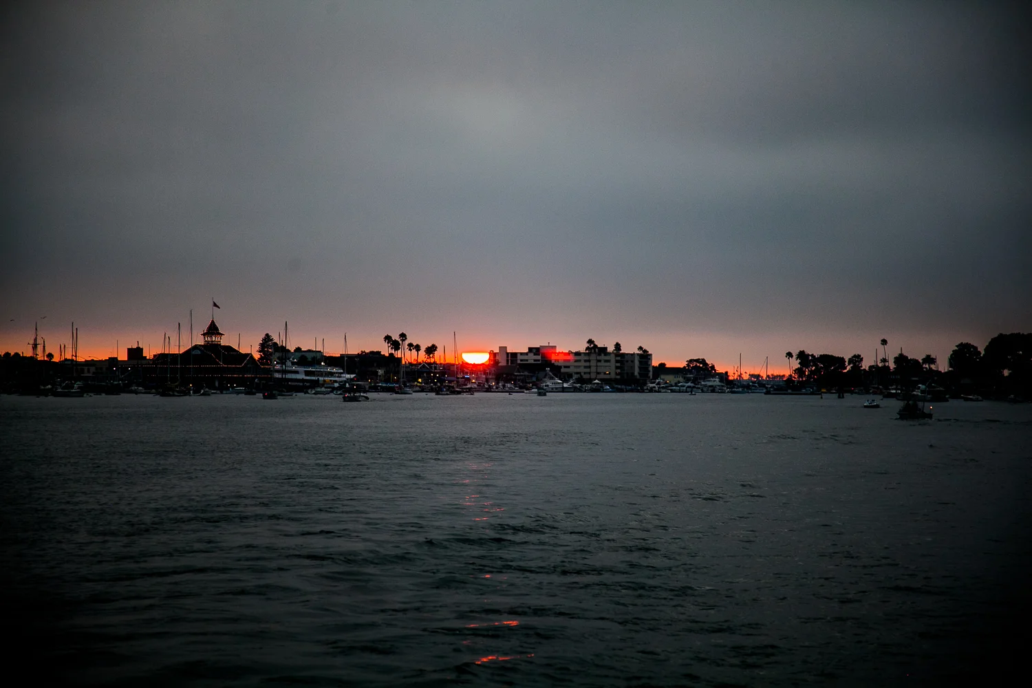 IMG_0685.jpg