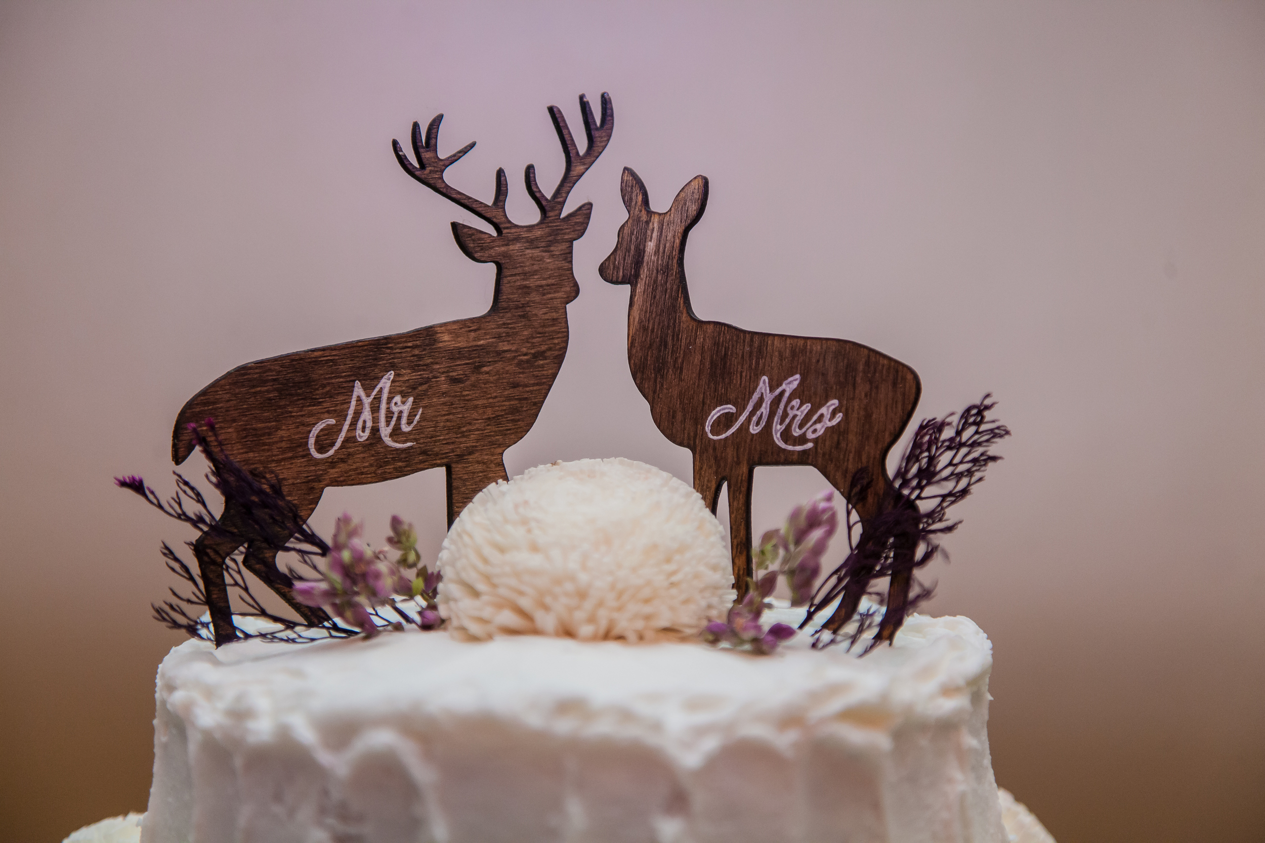 Lisa+Paul1-470.jpg