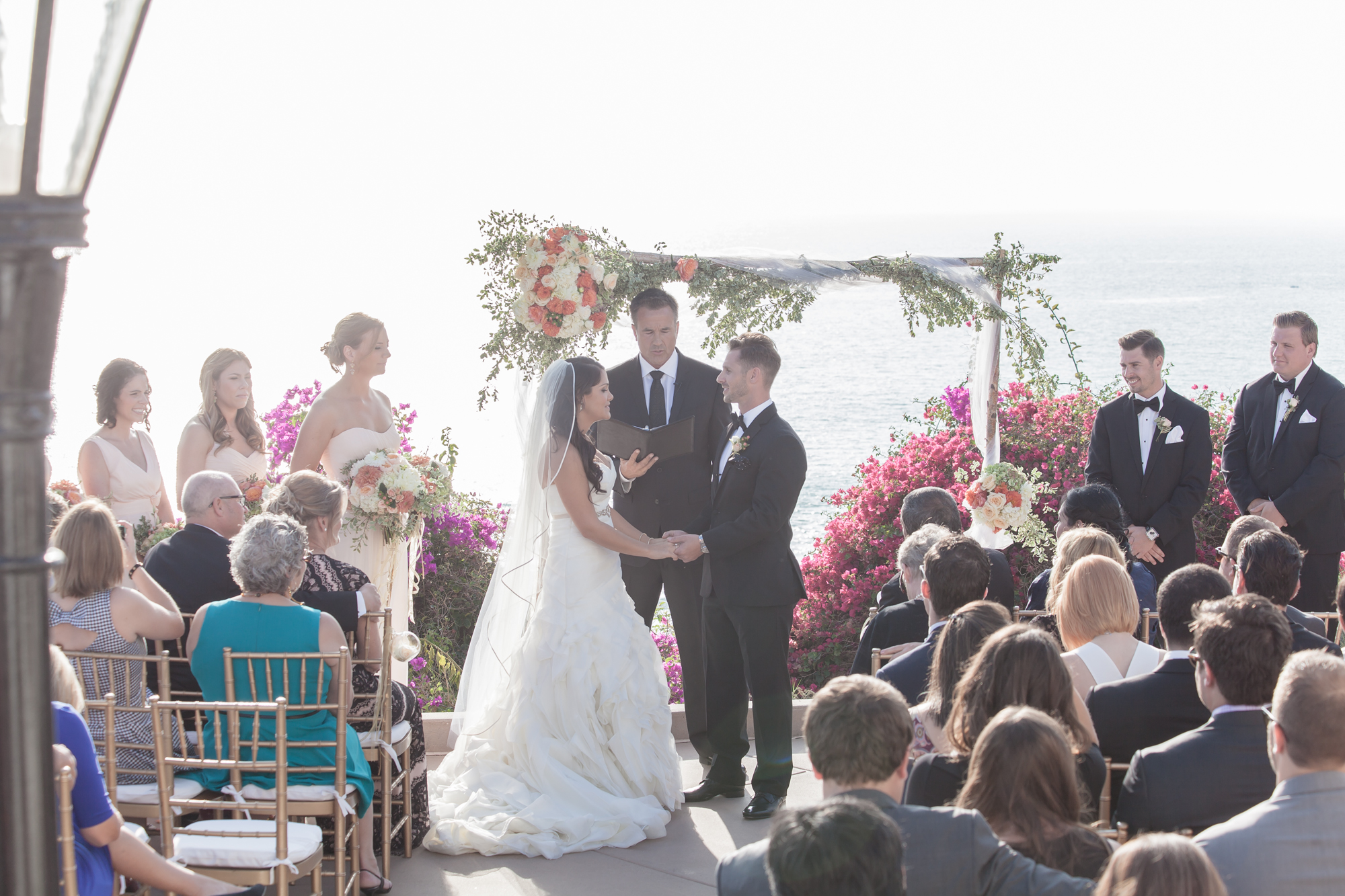 IMG_7038.jpg