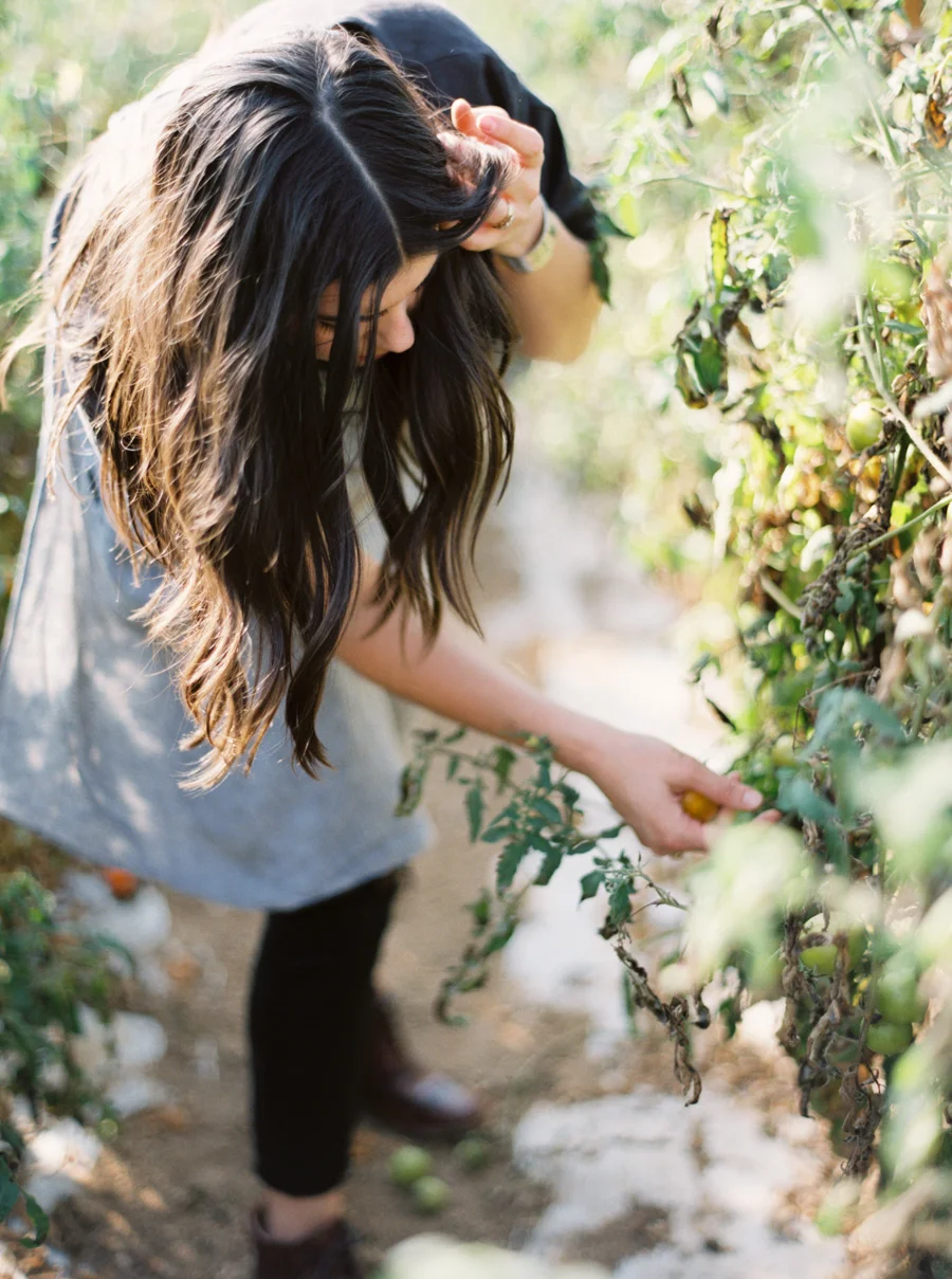 joelengson_Venturafarm_0002.jpg
