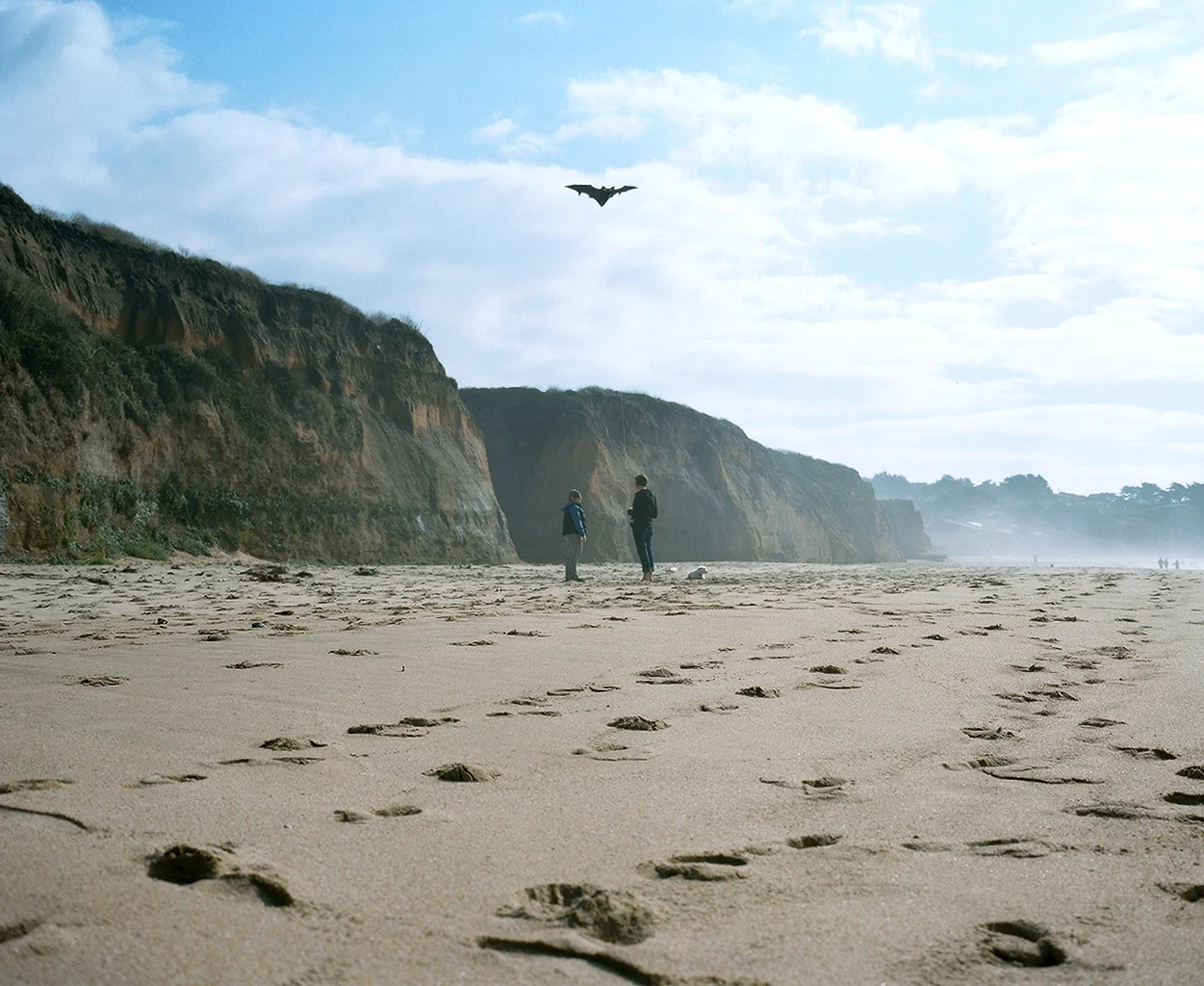 PageImage-502302-2834572-halfmoonbay.jpg