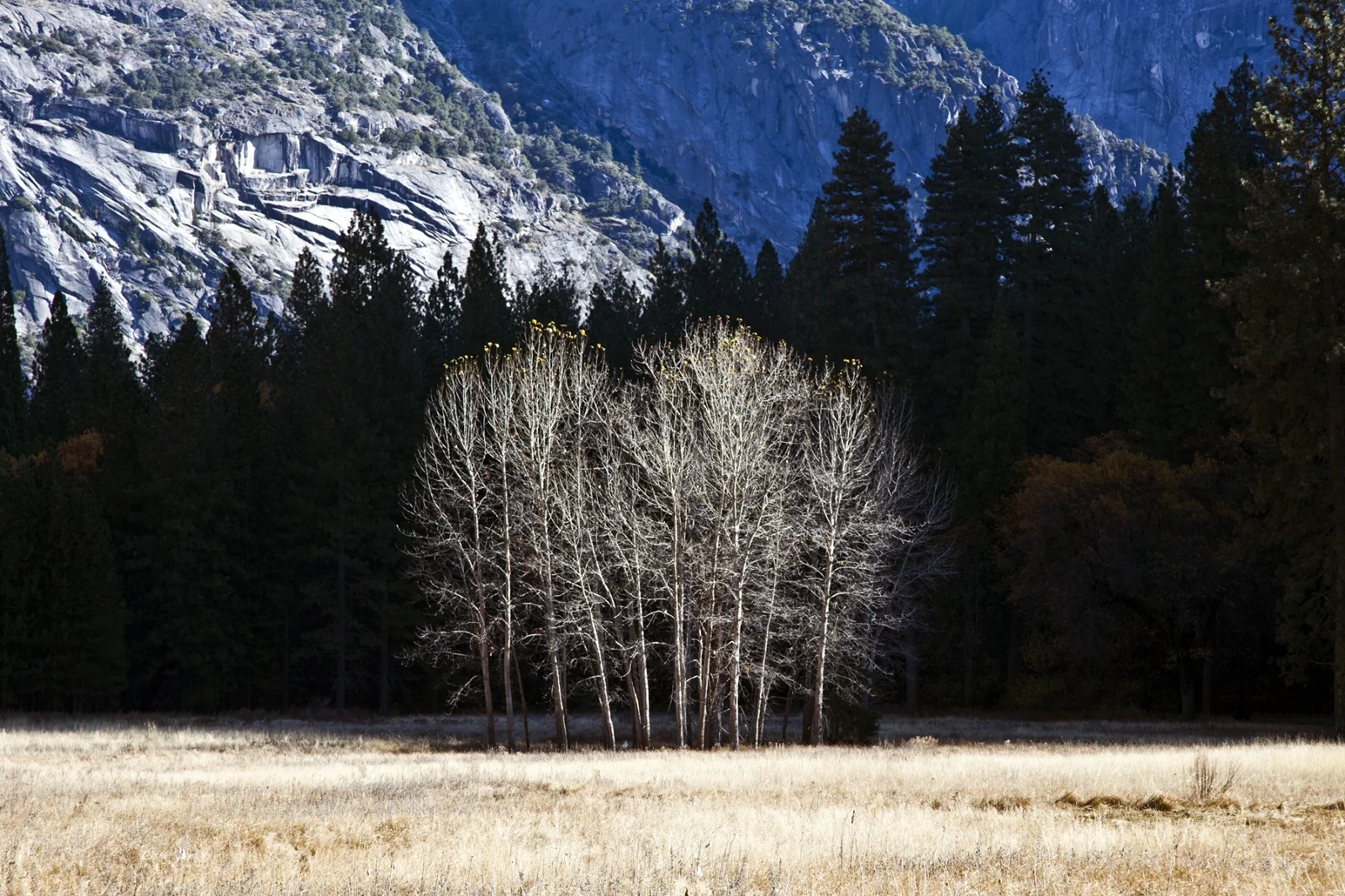 PageImage-502302-2834448-4110477694_29df07ef78_o.jpg