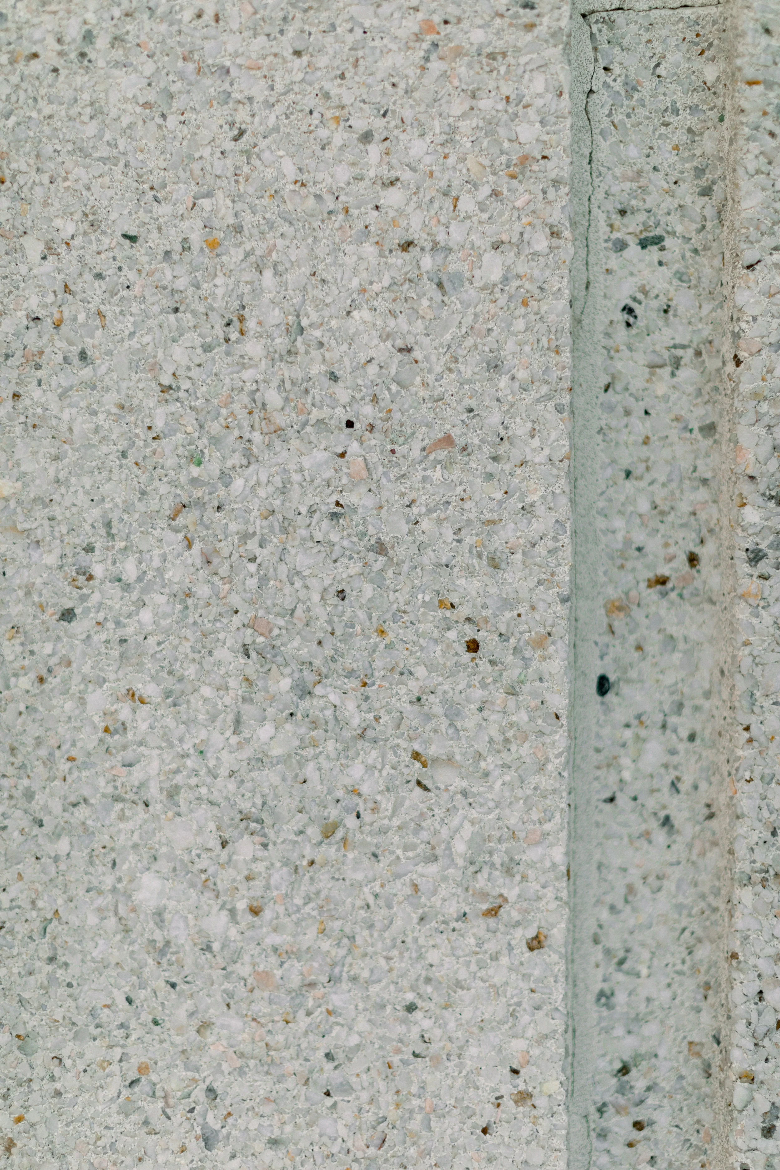 _Z8A1154.jpg