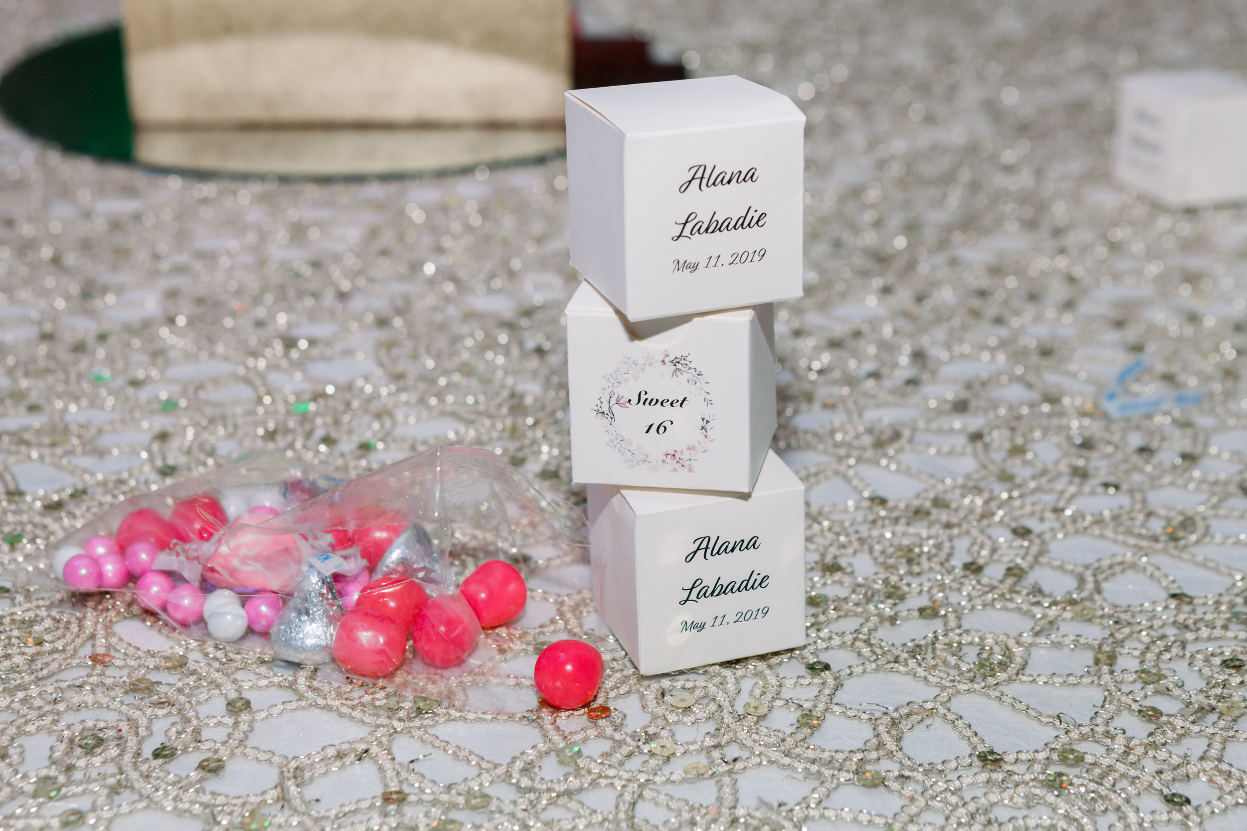 Alana's 16th-925.jpg