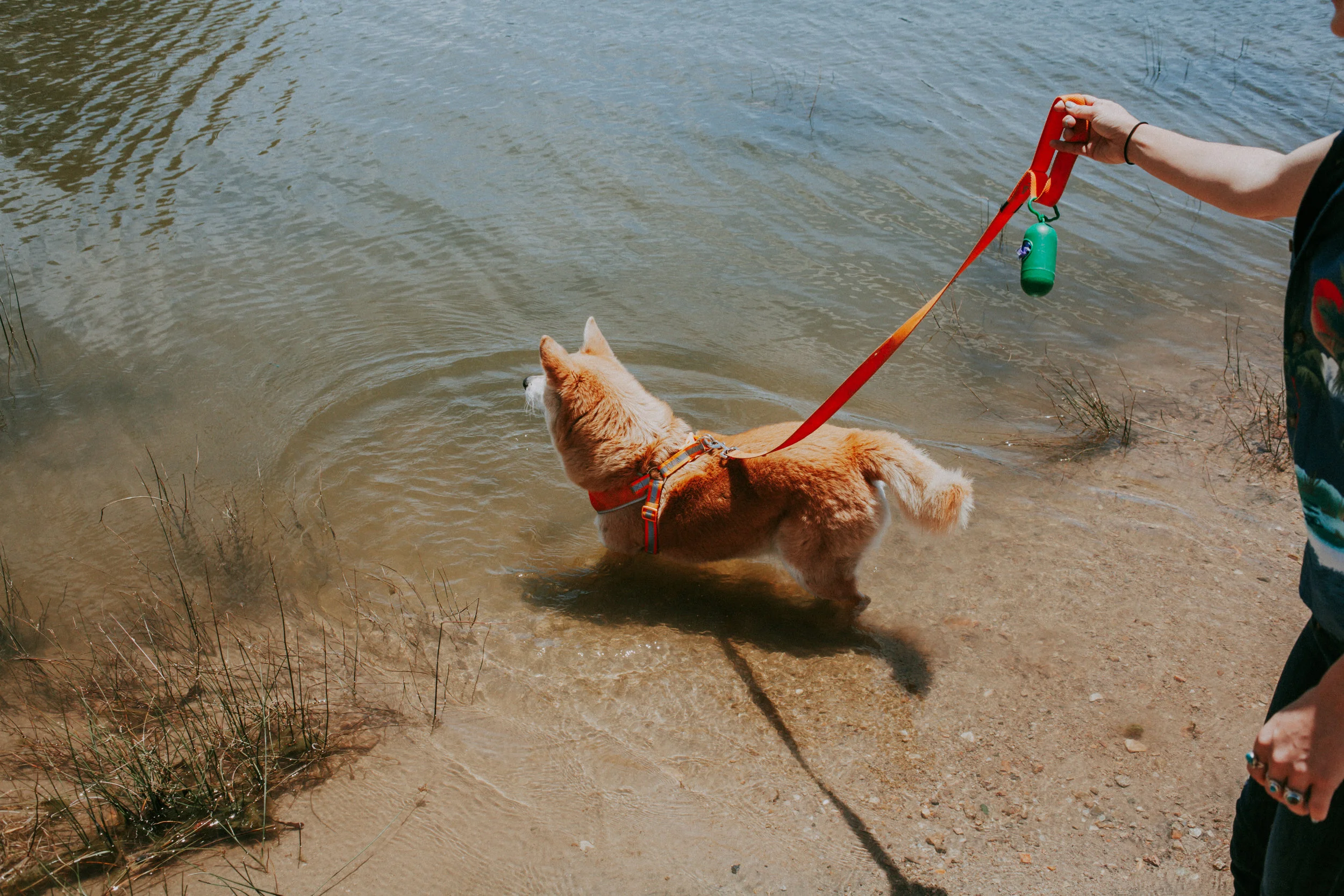 IMG_4383.jpg