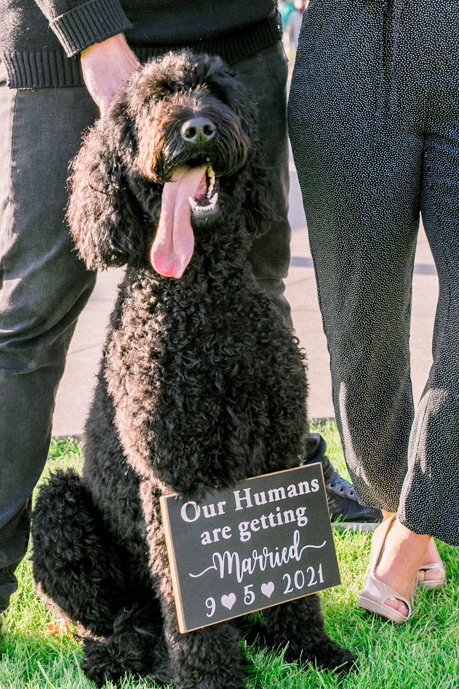 H+J_Engagement_0020.jpg