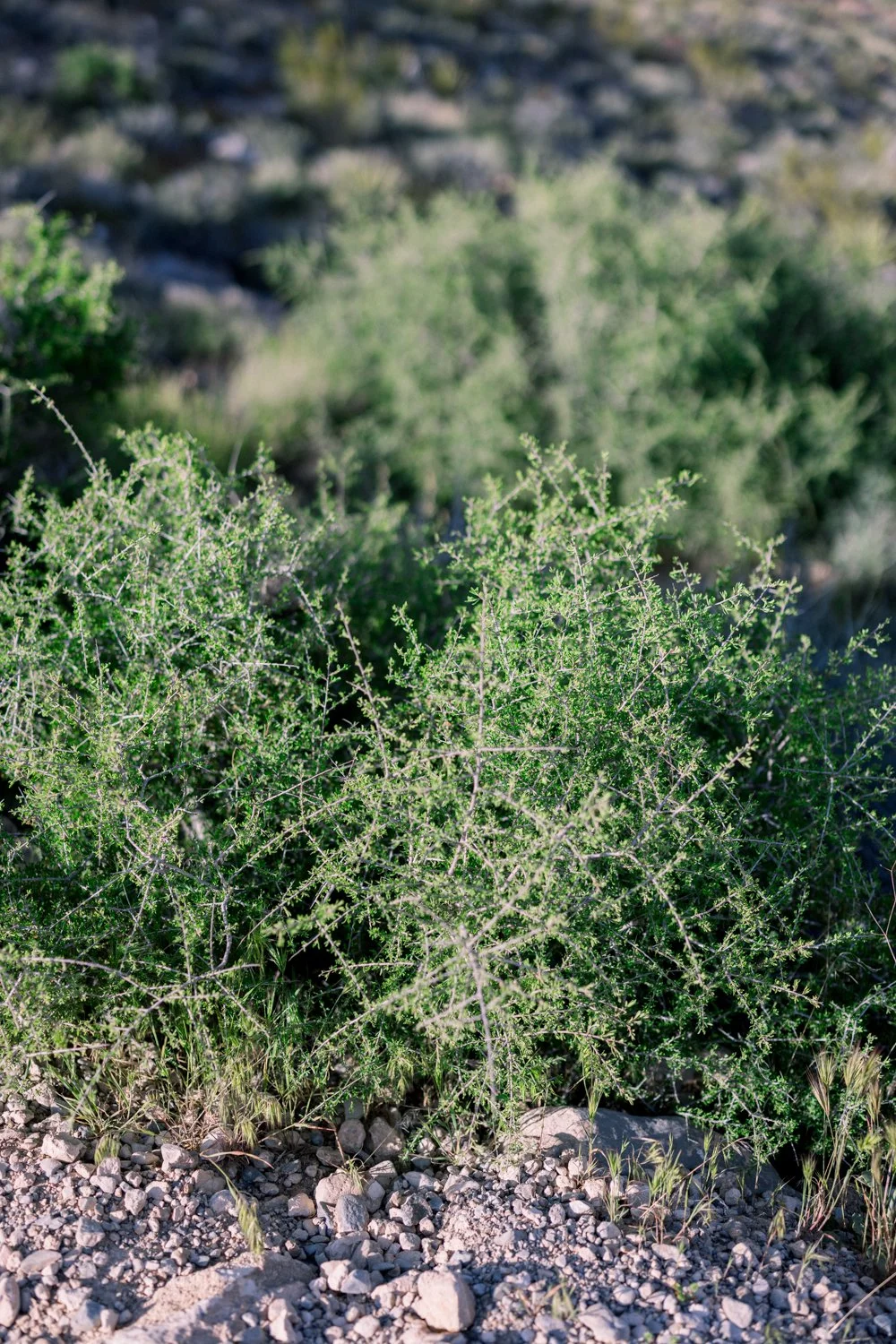 D+J_0054.jpg