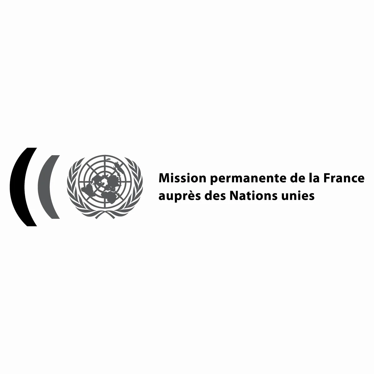 Logo lifting for the Mission permanente de la France auprès des Nations Unies . 2015, New York, USA.