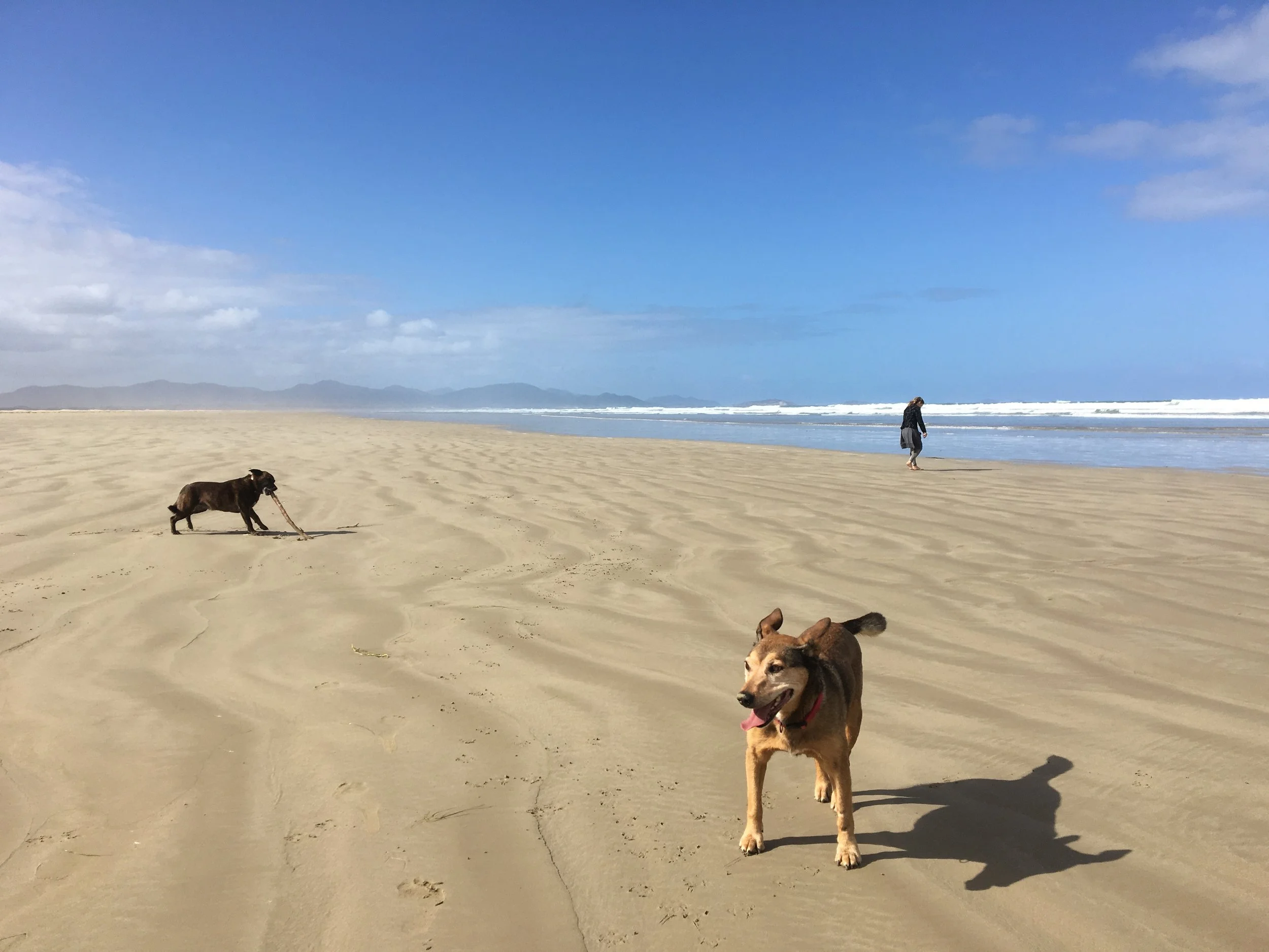 Another crowded day at Sandy Point beach