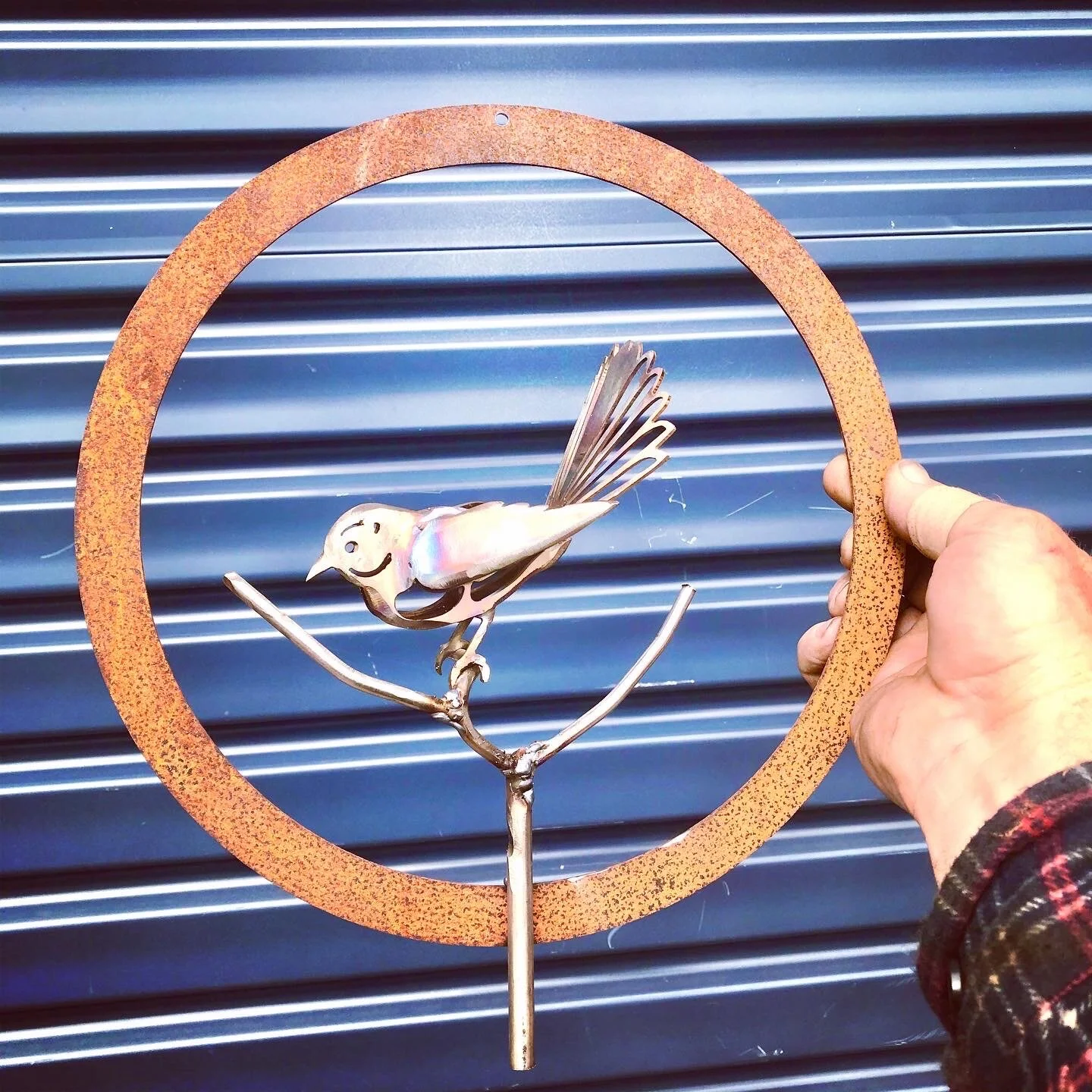 Hanging Grey Fantail by Grant Flather