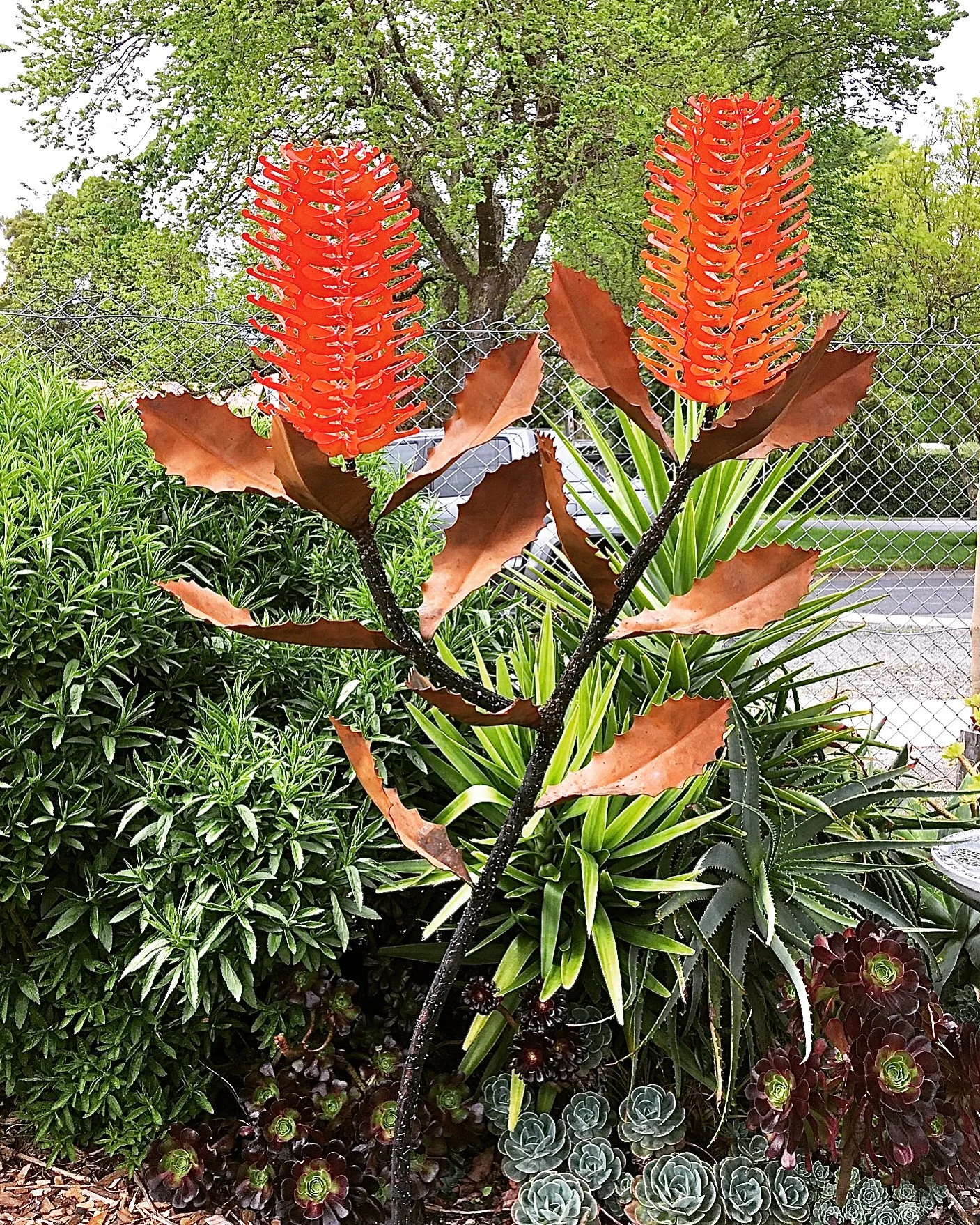 Double Banksia Tree sculpture in Orange by Grant Flather