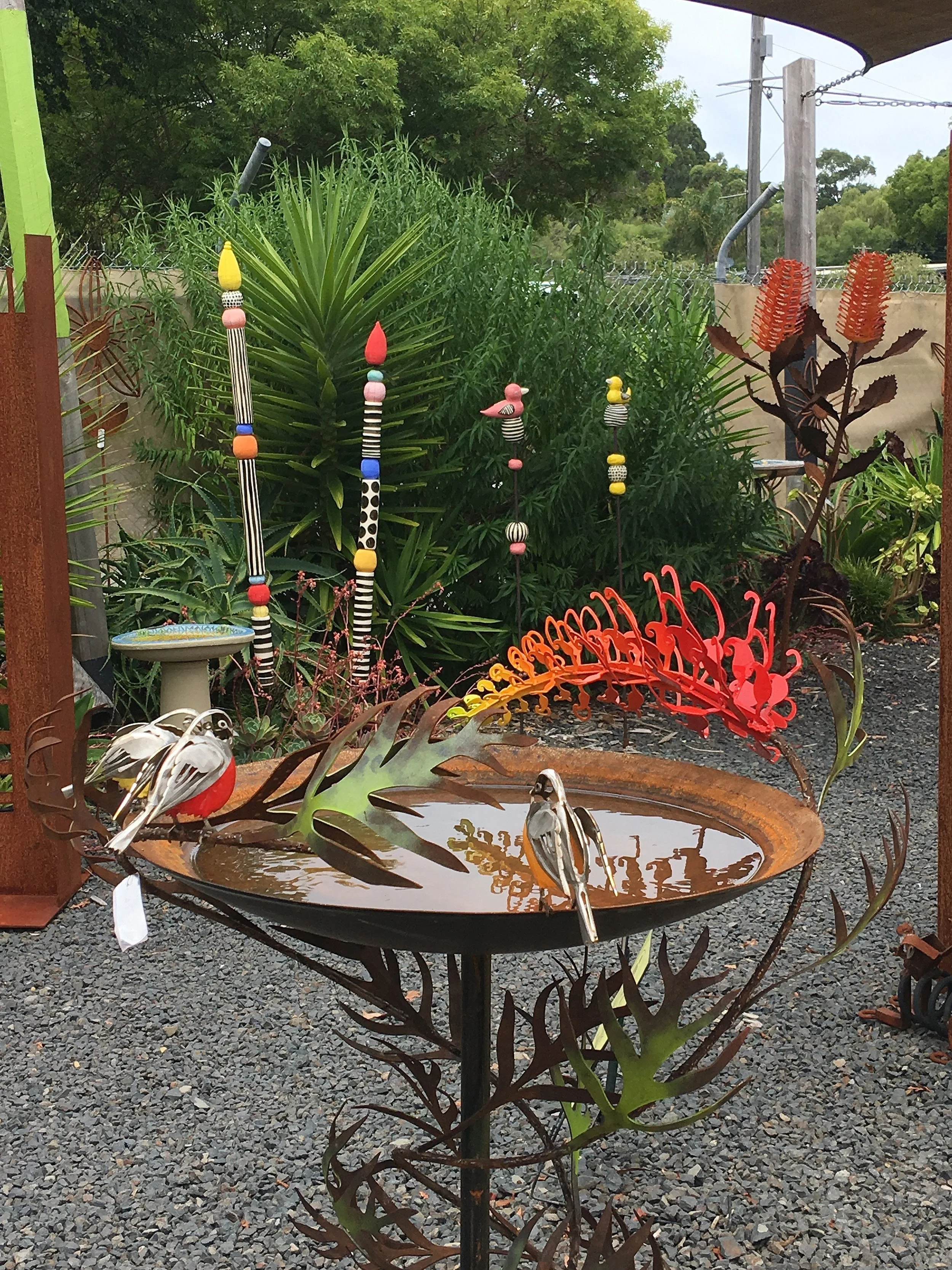 Grevillea and Robin bird bath