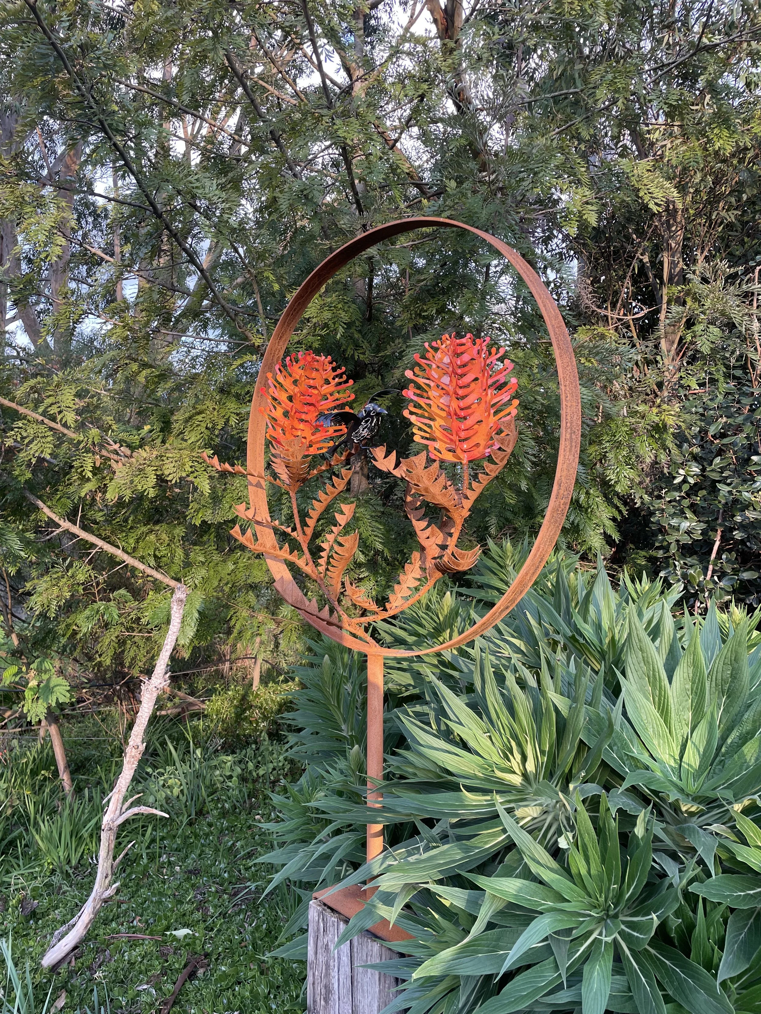 Banksia Baxteri Freestanding with Honeyeater