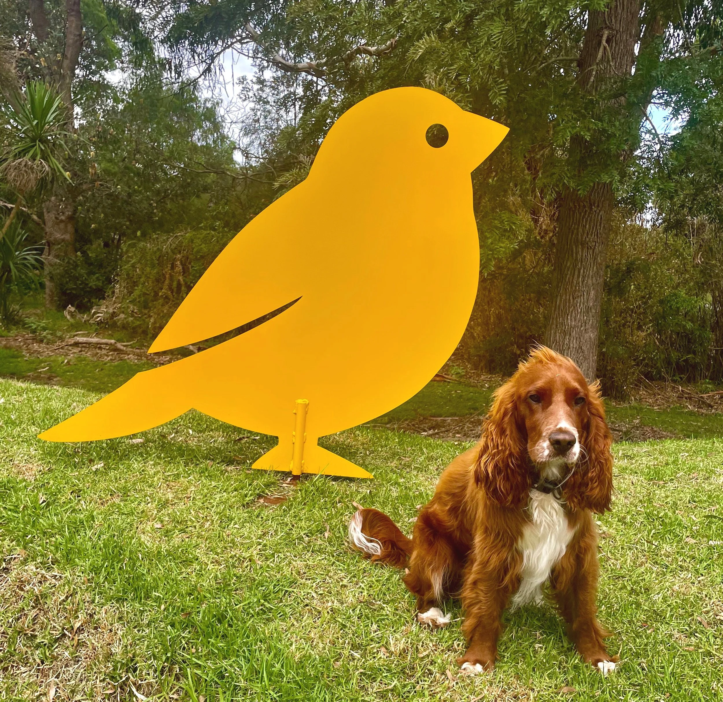 Mr Finch wind vane by Grant Flather