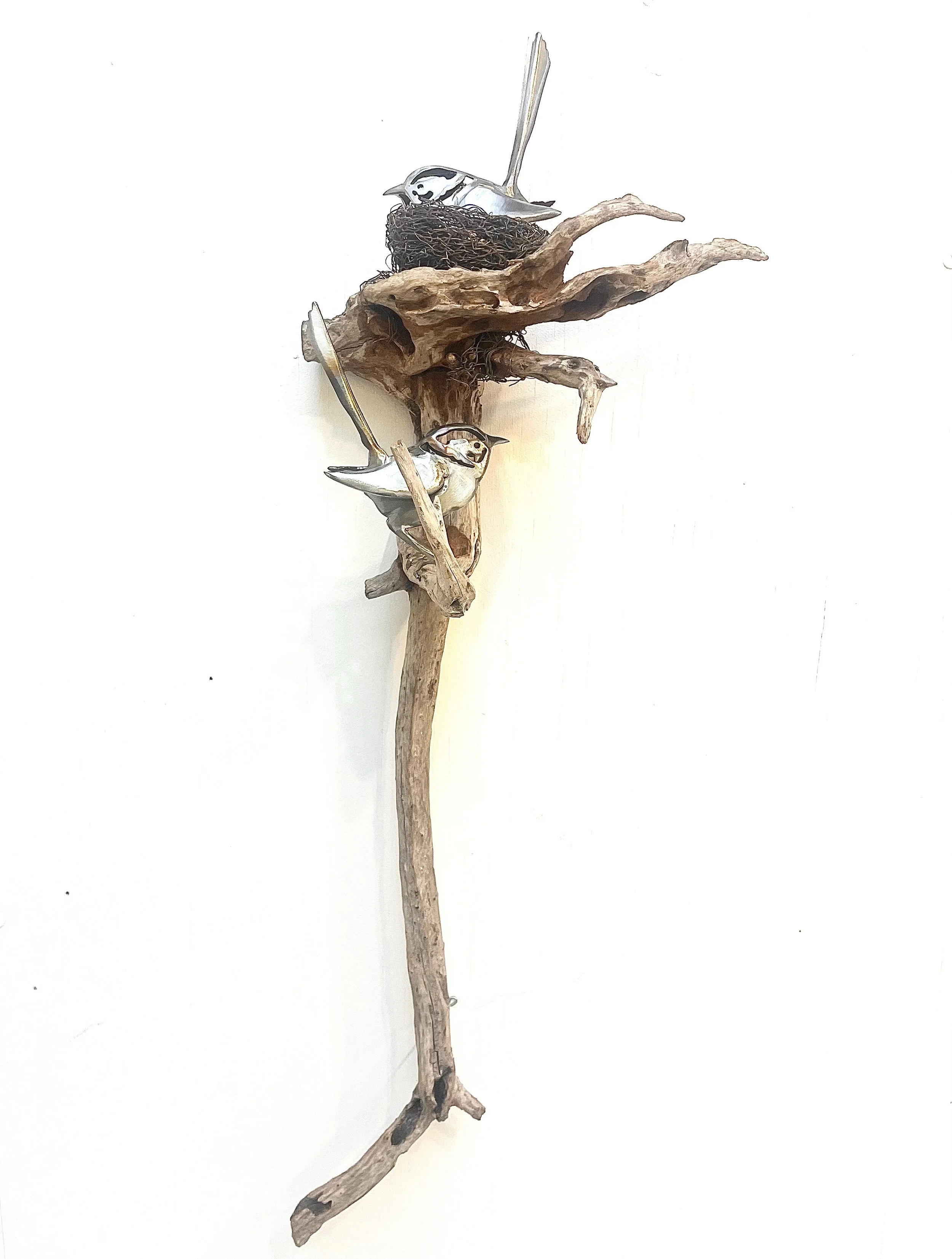 Driftwood with wrens