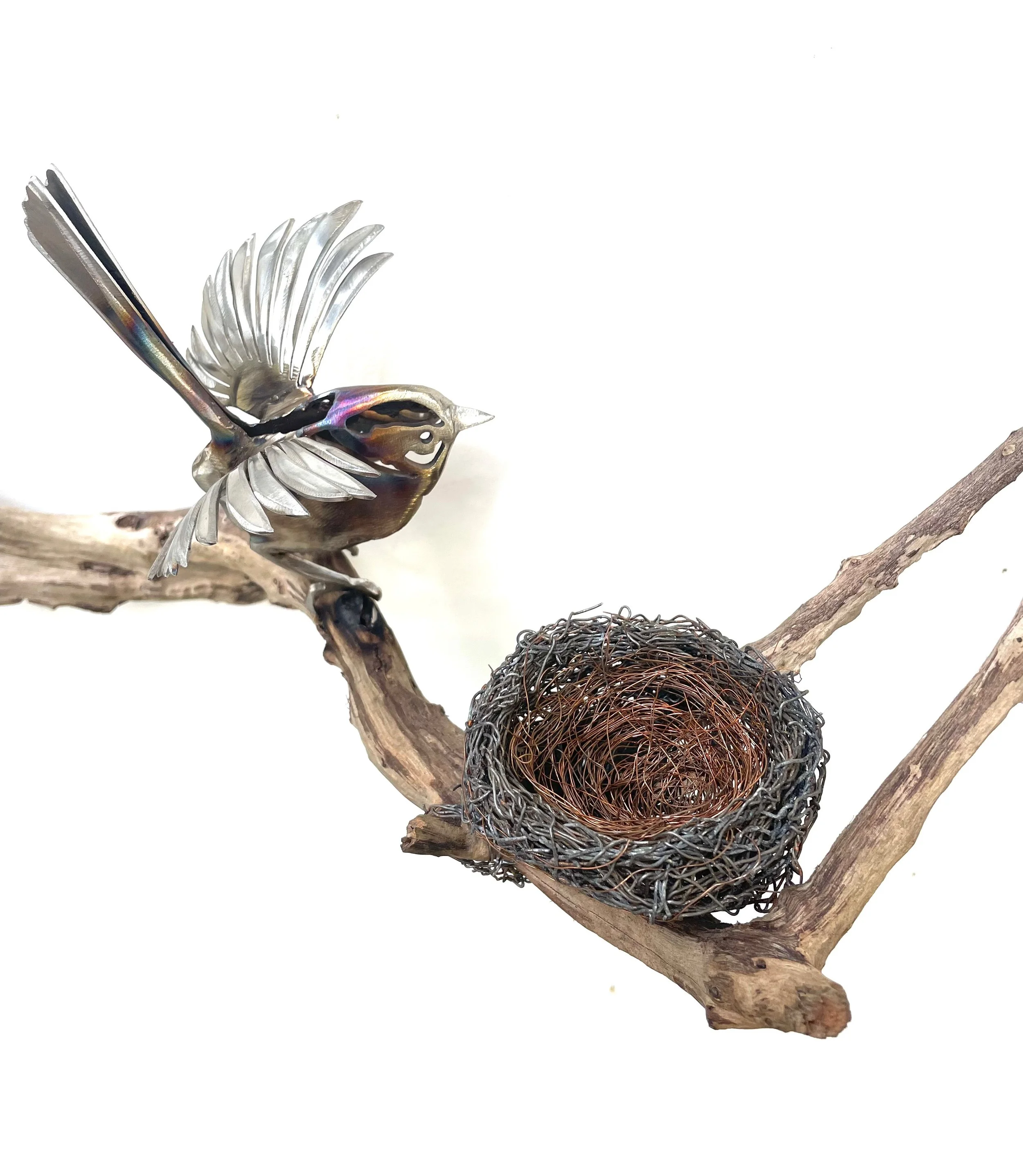 Driftwood with wren and nest