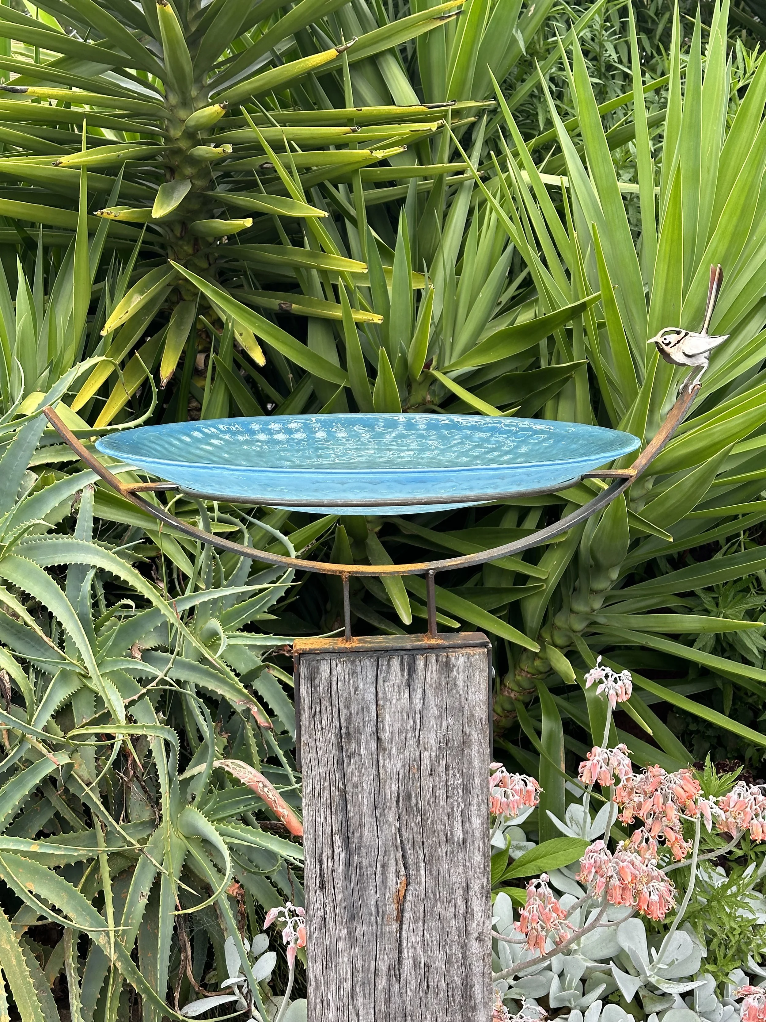 Australian made Zen bird bath with light blue glass and one wren