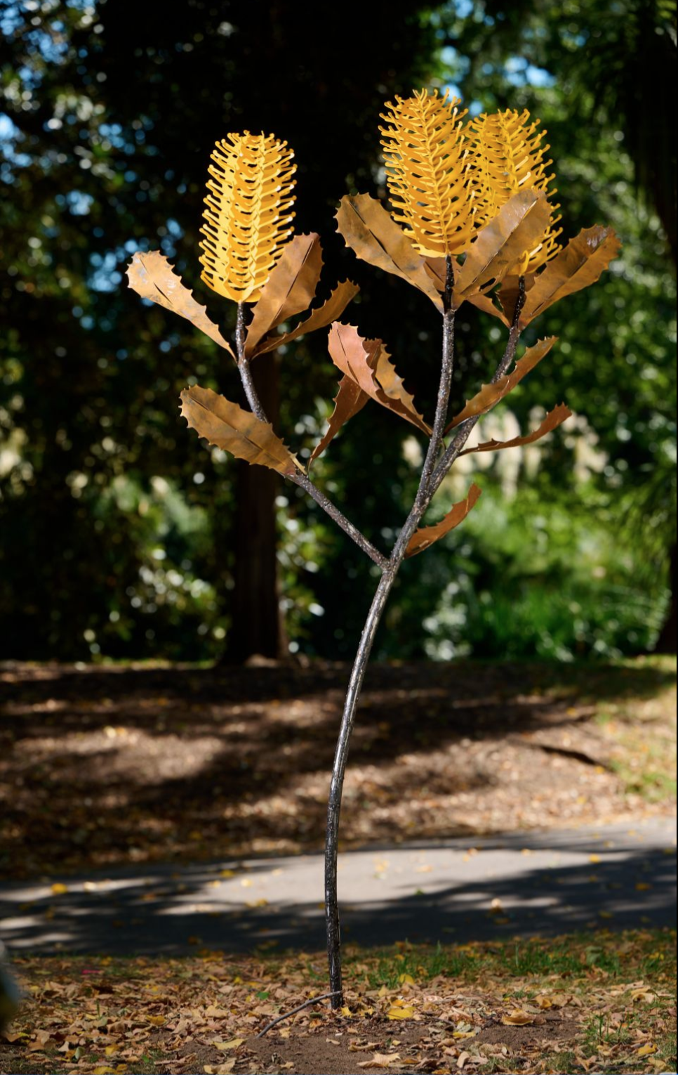 Triple Banksia Tree sculpture in Yellow by Grant Flather
