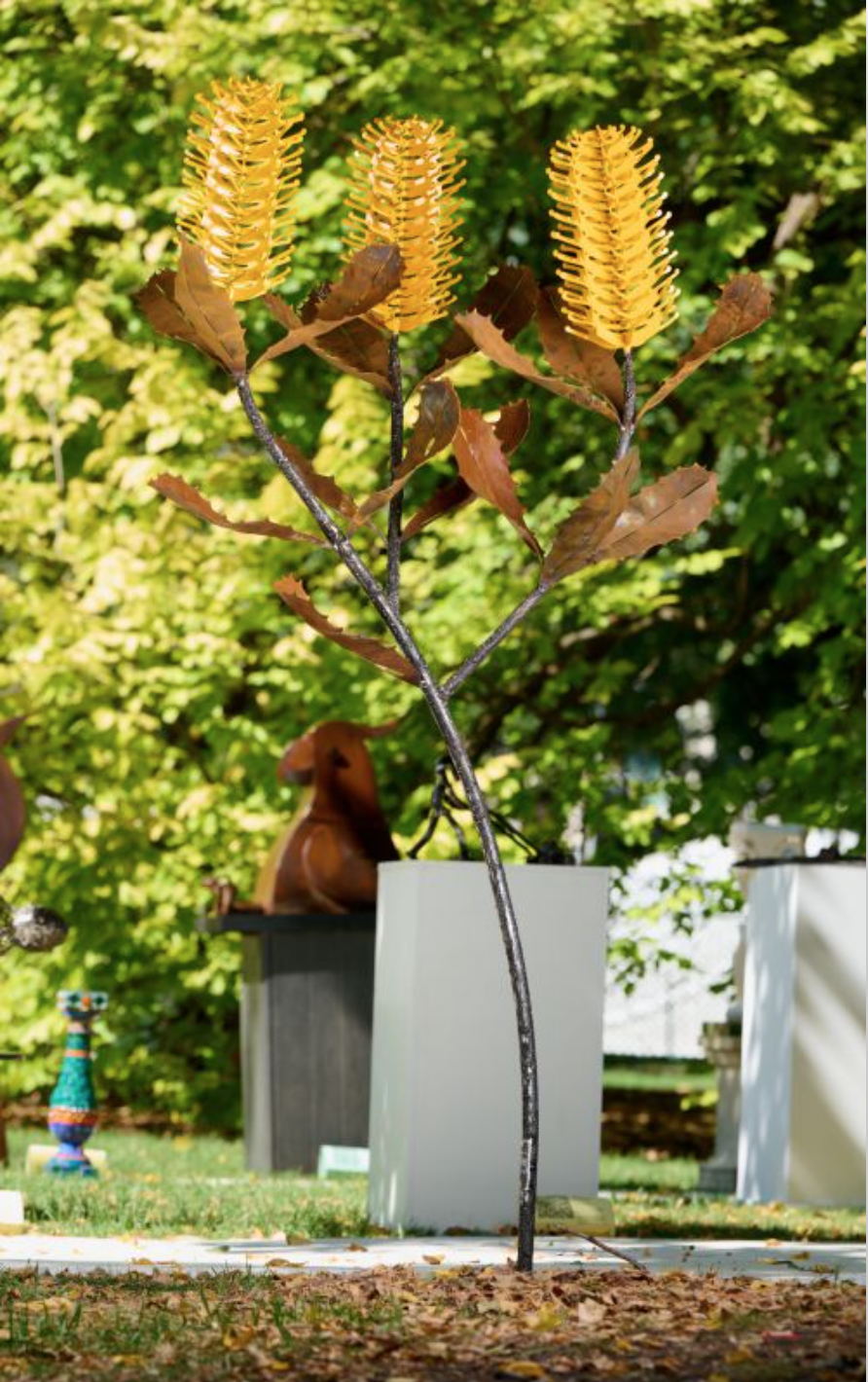 Triple Banksia Tree sculpture in Yellow by Grant Flather
