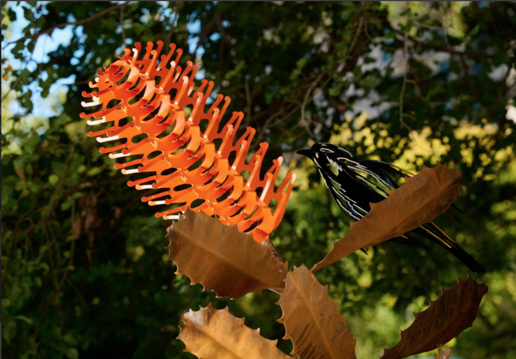 Super Giant Banksia 2.png