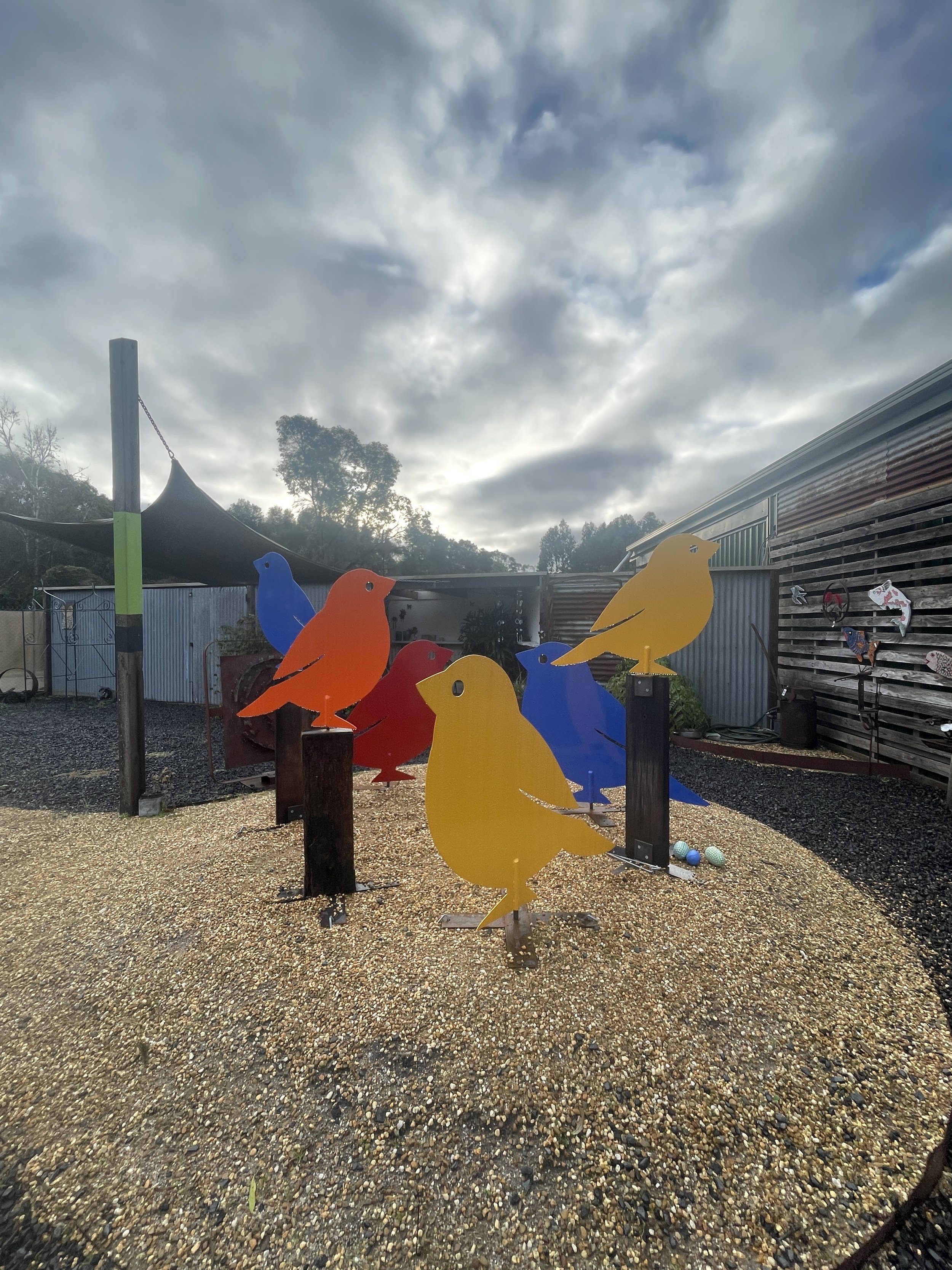 Mr Finches -$790 - large or small on post.