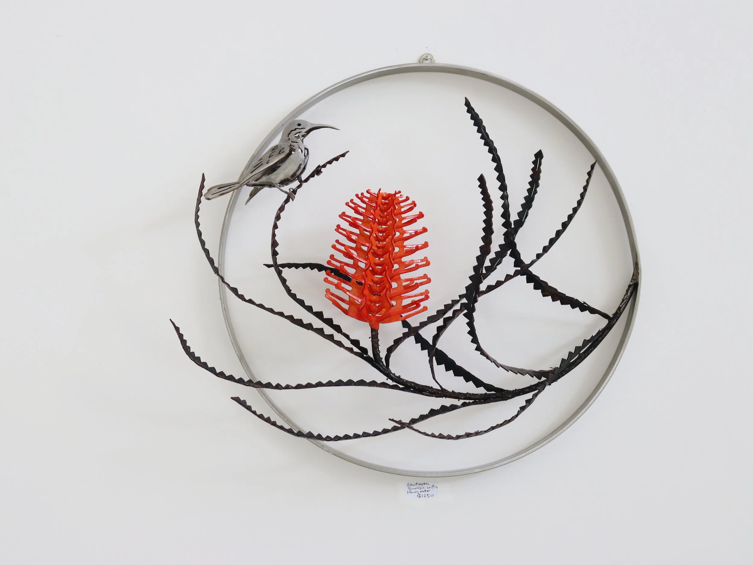 Sawtooth Banksia Wall sculpture with Eastern Spinebill. By Grant Flather