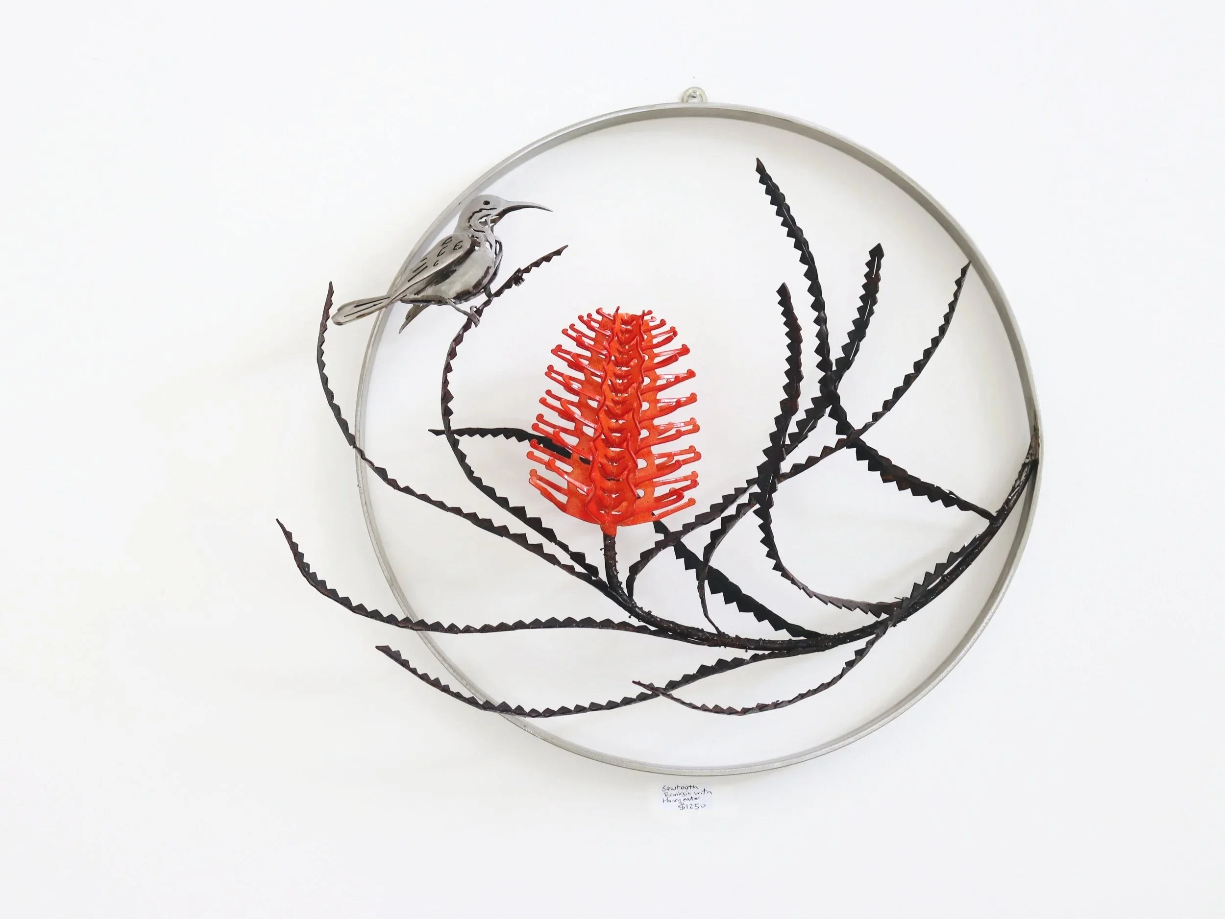 Single Sawtooth Banksia wall sculpture with Eastern Spinebill
