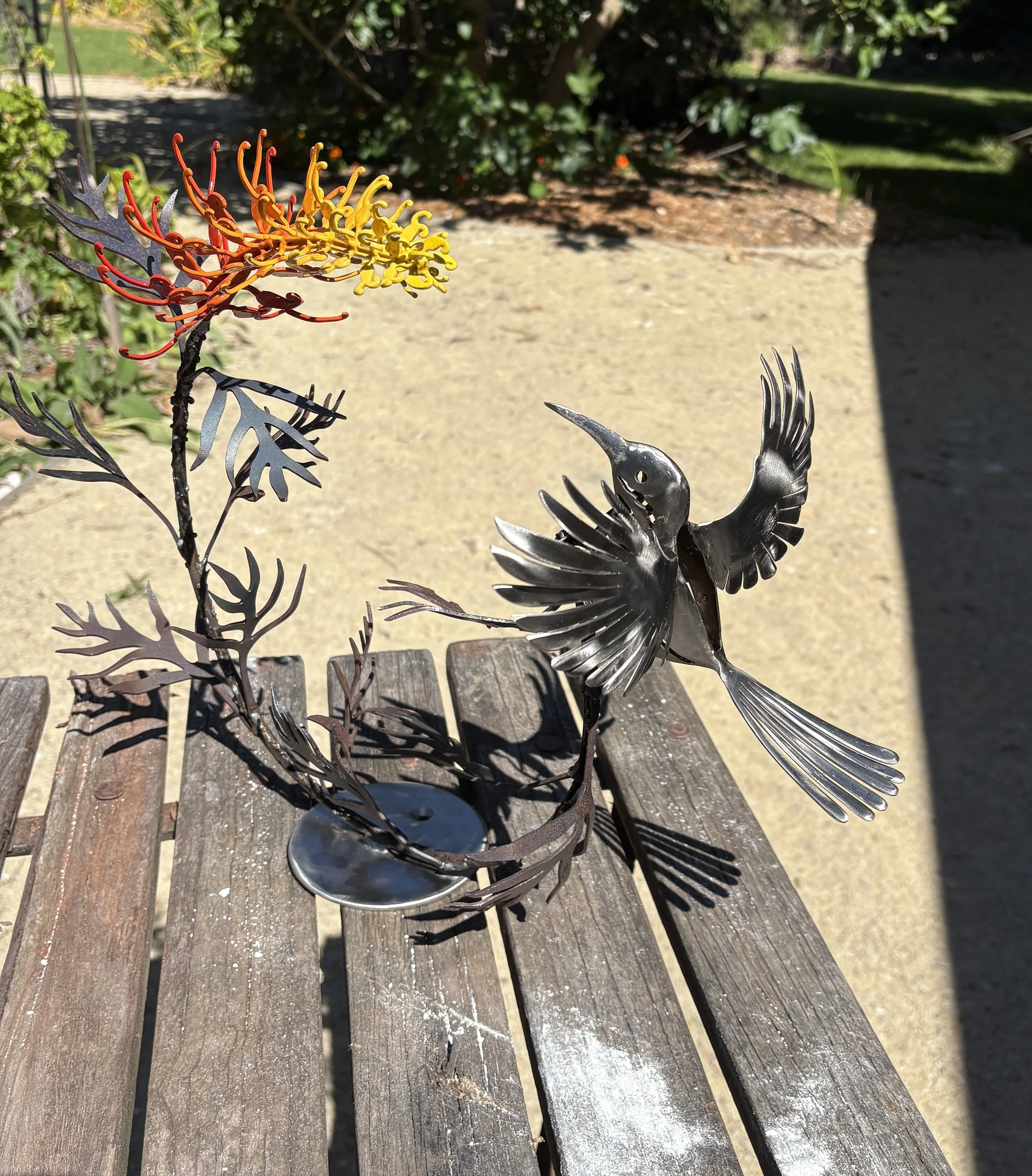 Tabletop Grevillea with Eastern Spinebill