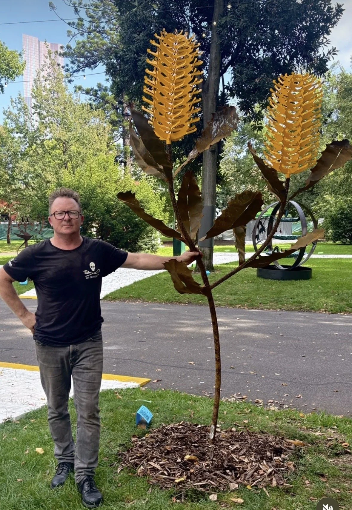 Super Giant Banksia in Yellow.jpg