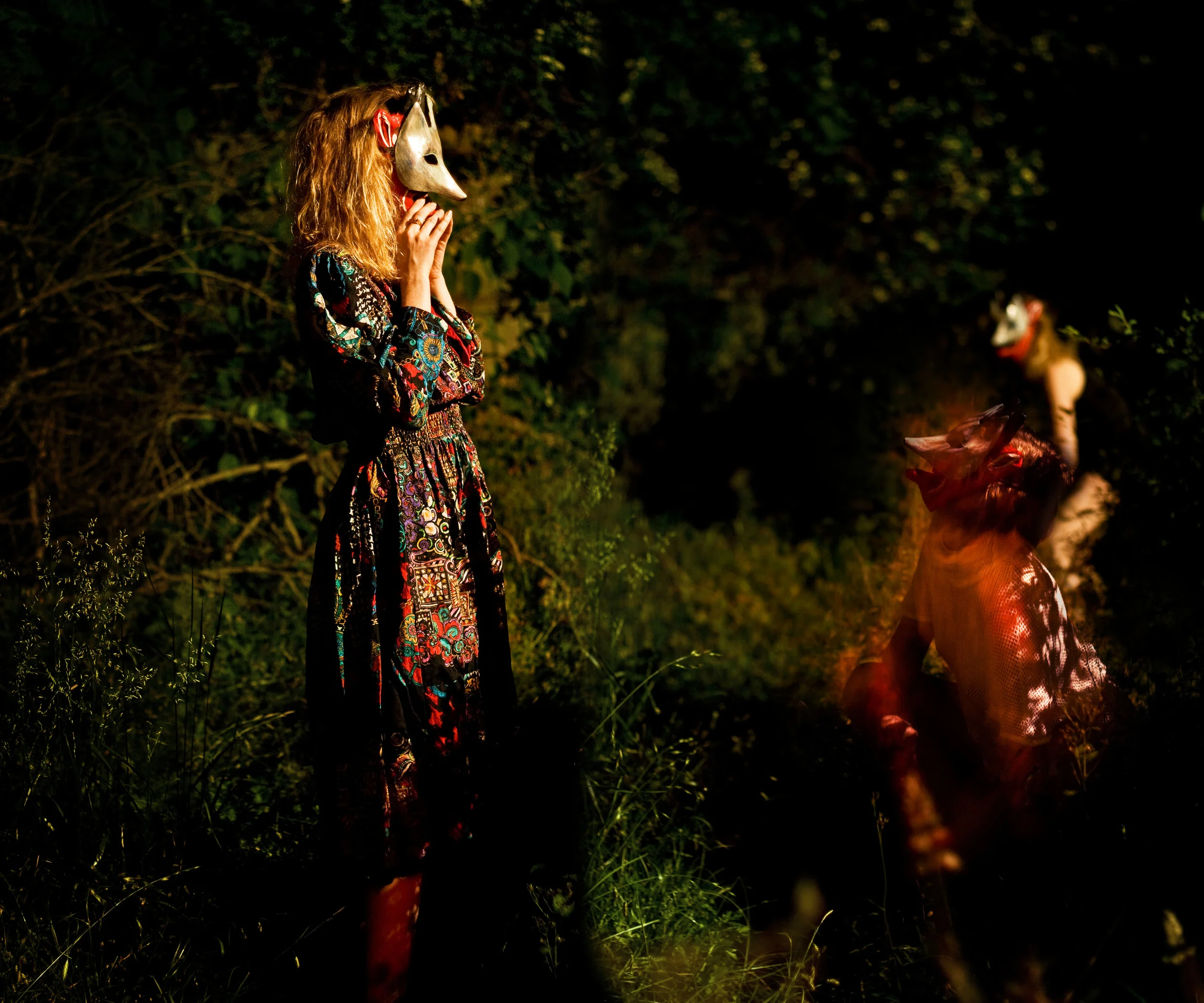 The wolf hunts at night.