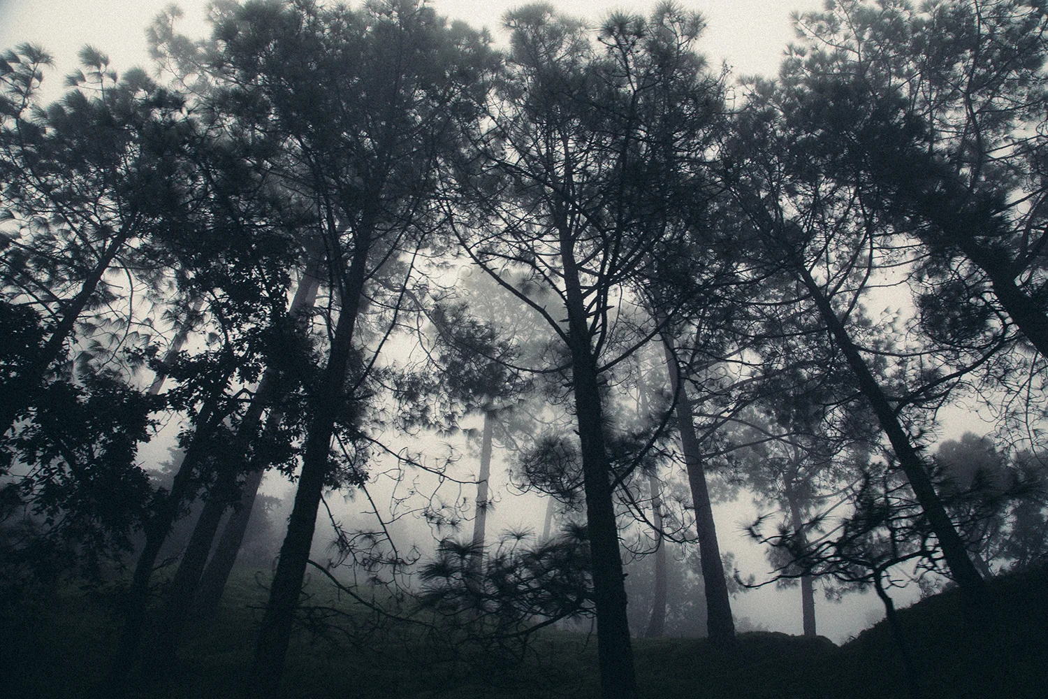 SID_0043.jpg