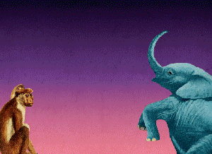 gif_4.gif