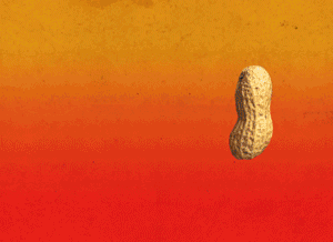 gif_12.gif