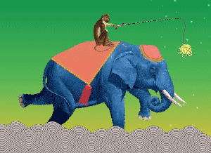 gif_6.gif