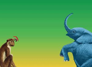 gif_2.gif