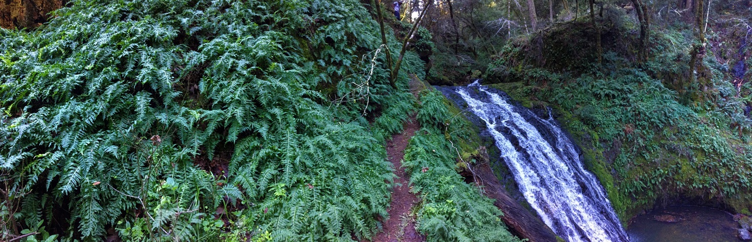 Cascade Falls, California in February