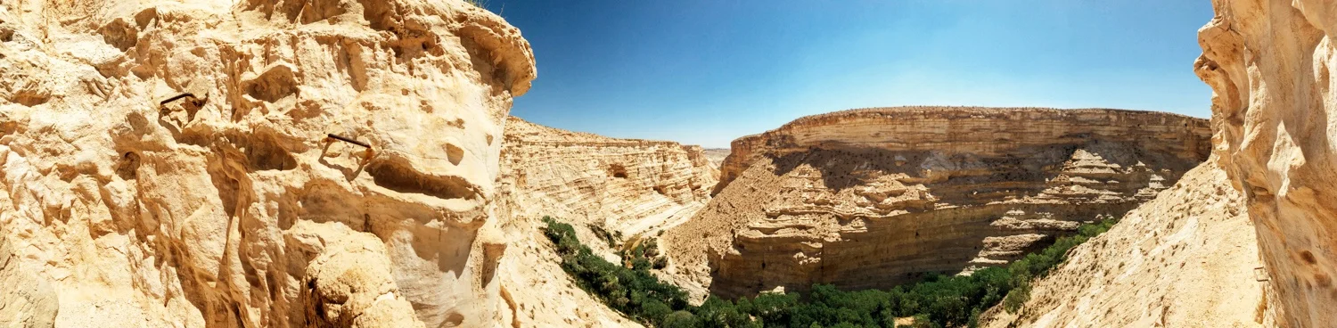 Negev Desert, Israel in June
