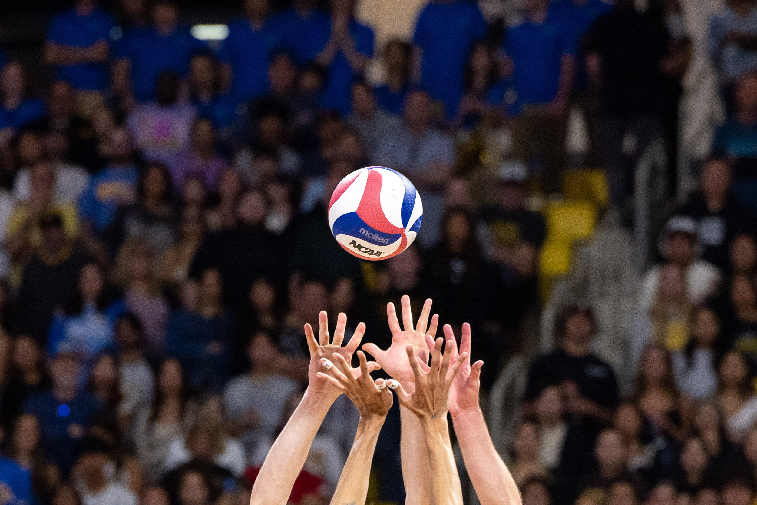 Volleyball National Championship / For Long Beach State University / 2024