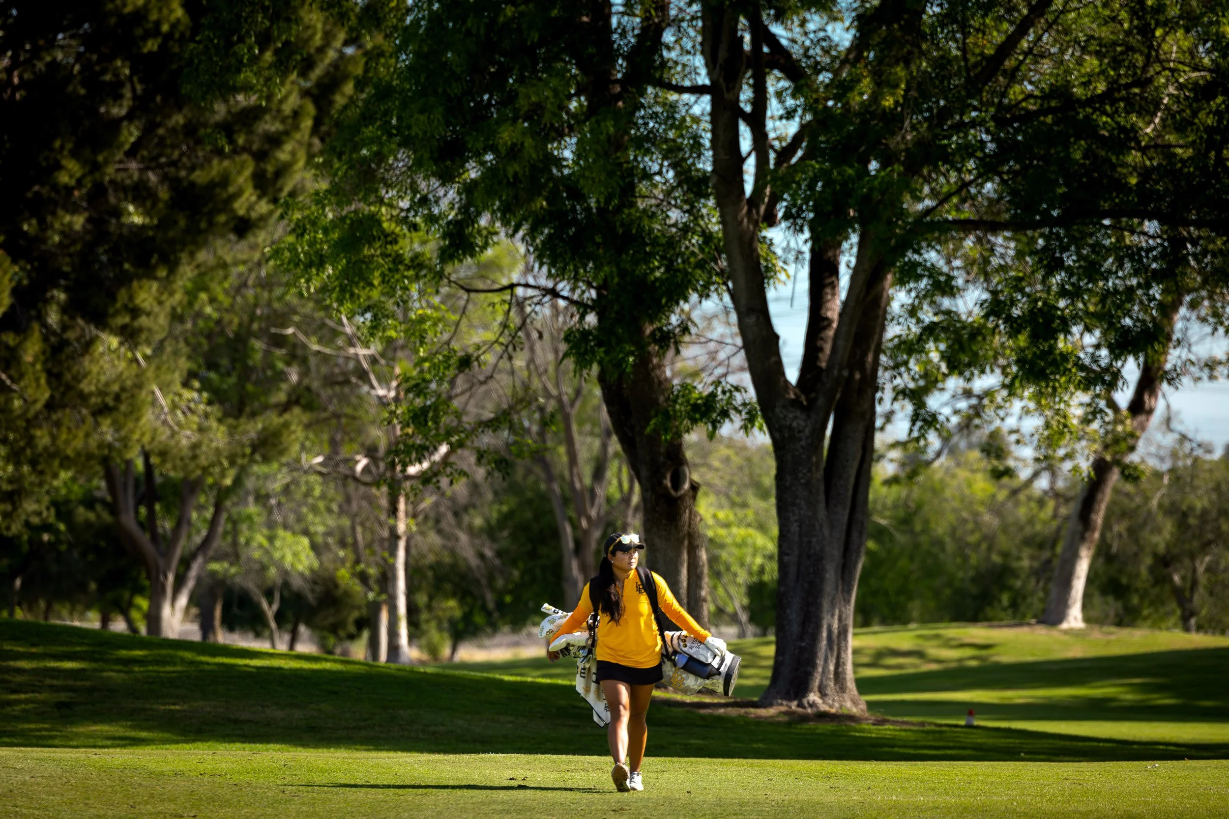 Golf Practice / 2026