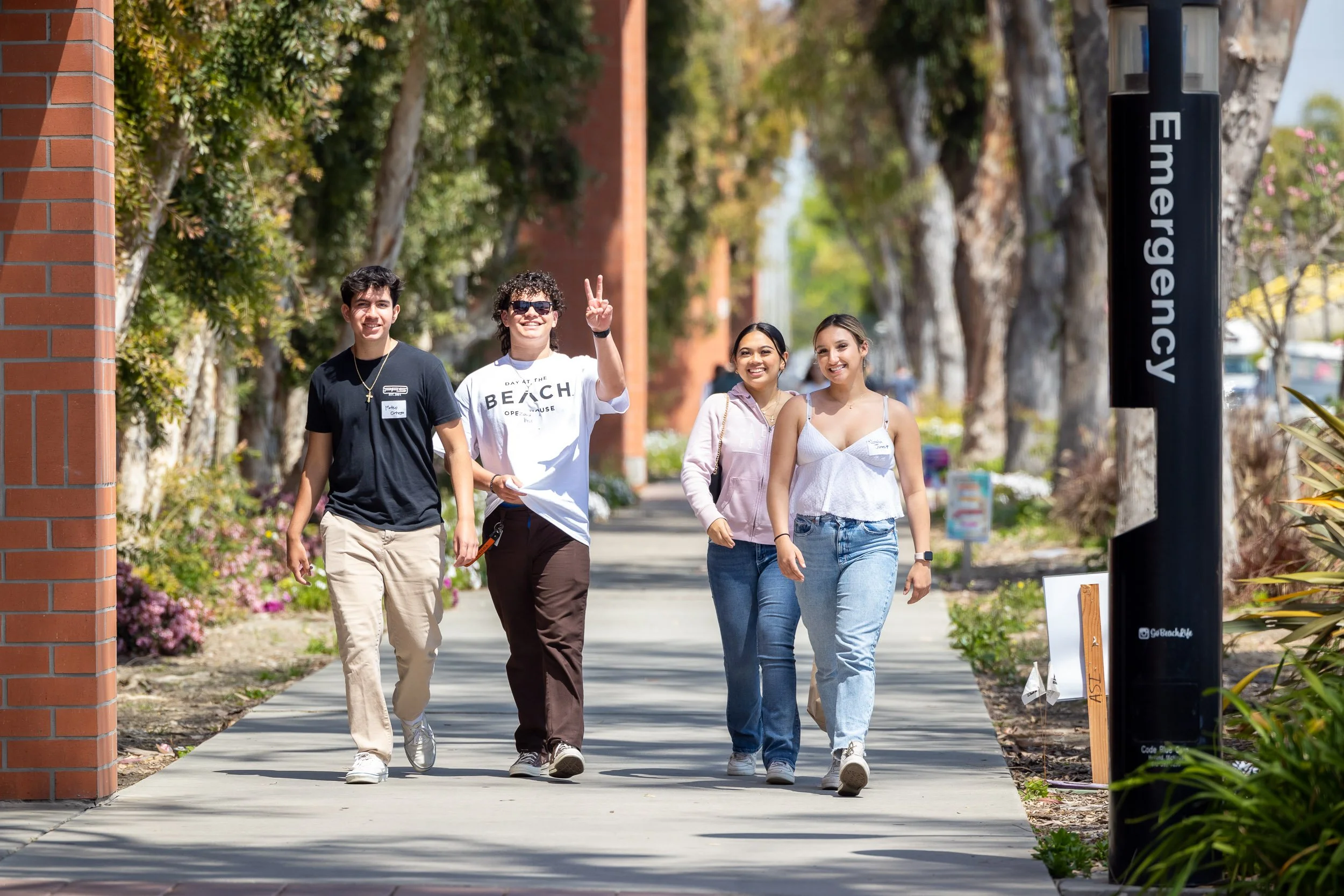 Day At The Beach / For Long Beach State University / 2023