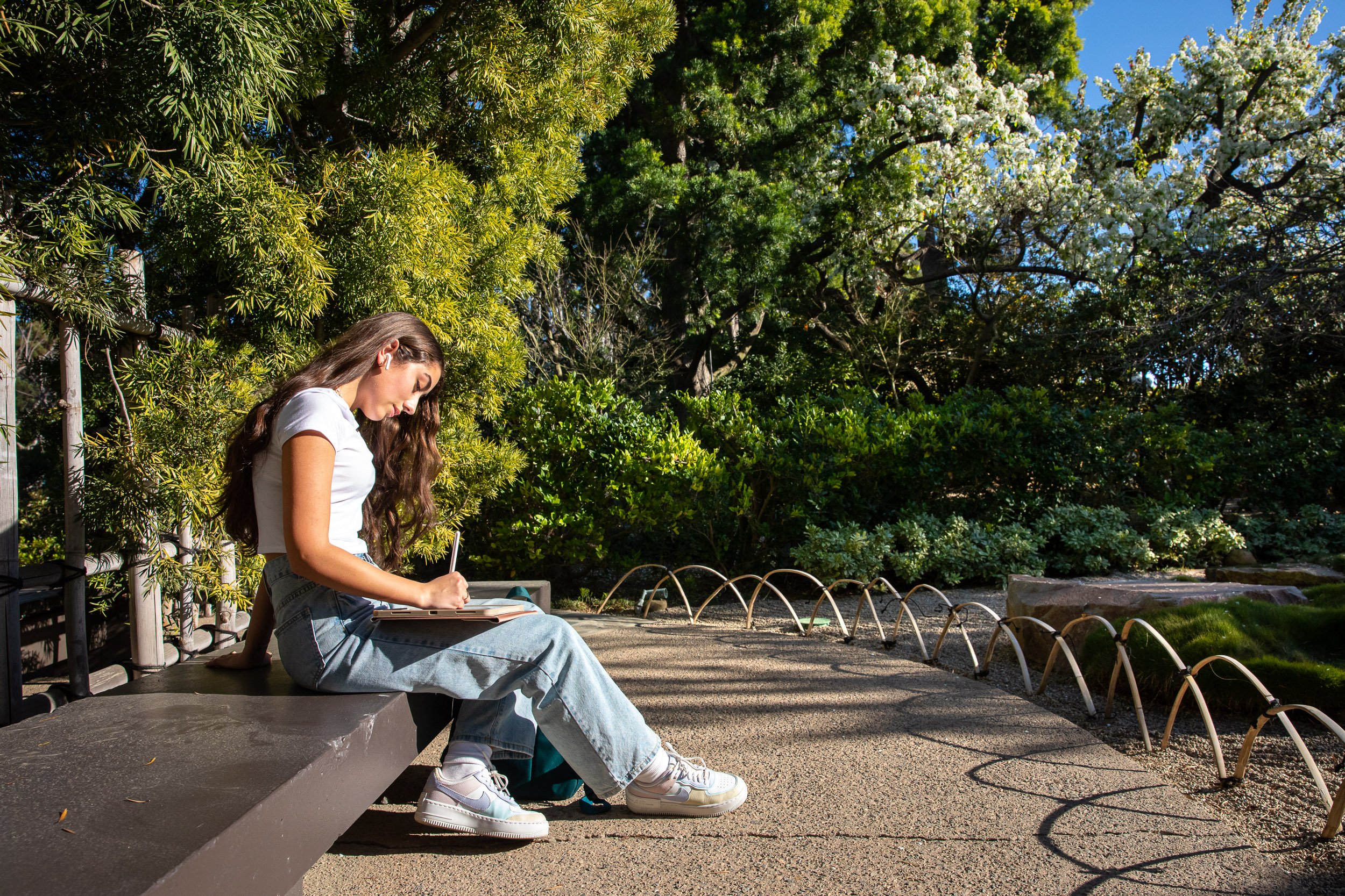 The Japanese Garden / For Long Beach State University / 2022