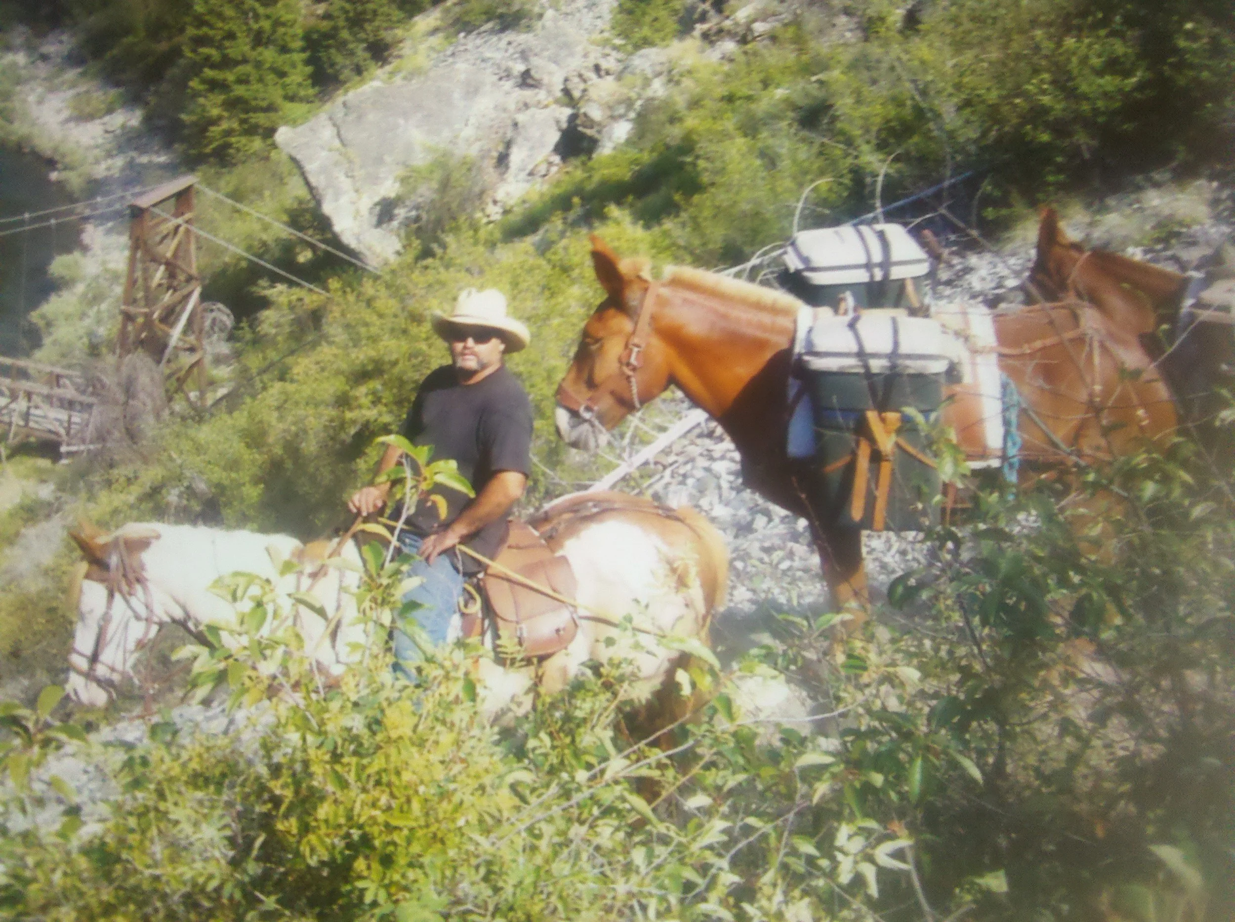 Jeff Jones with his A Team in the Frank Church wilderness.