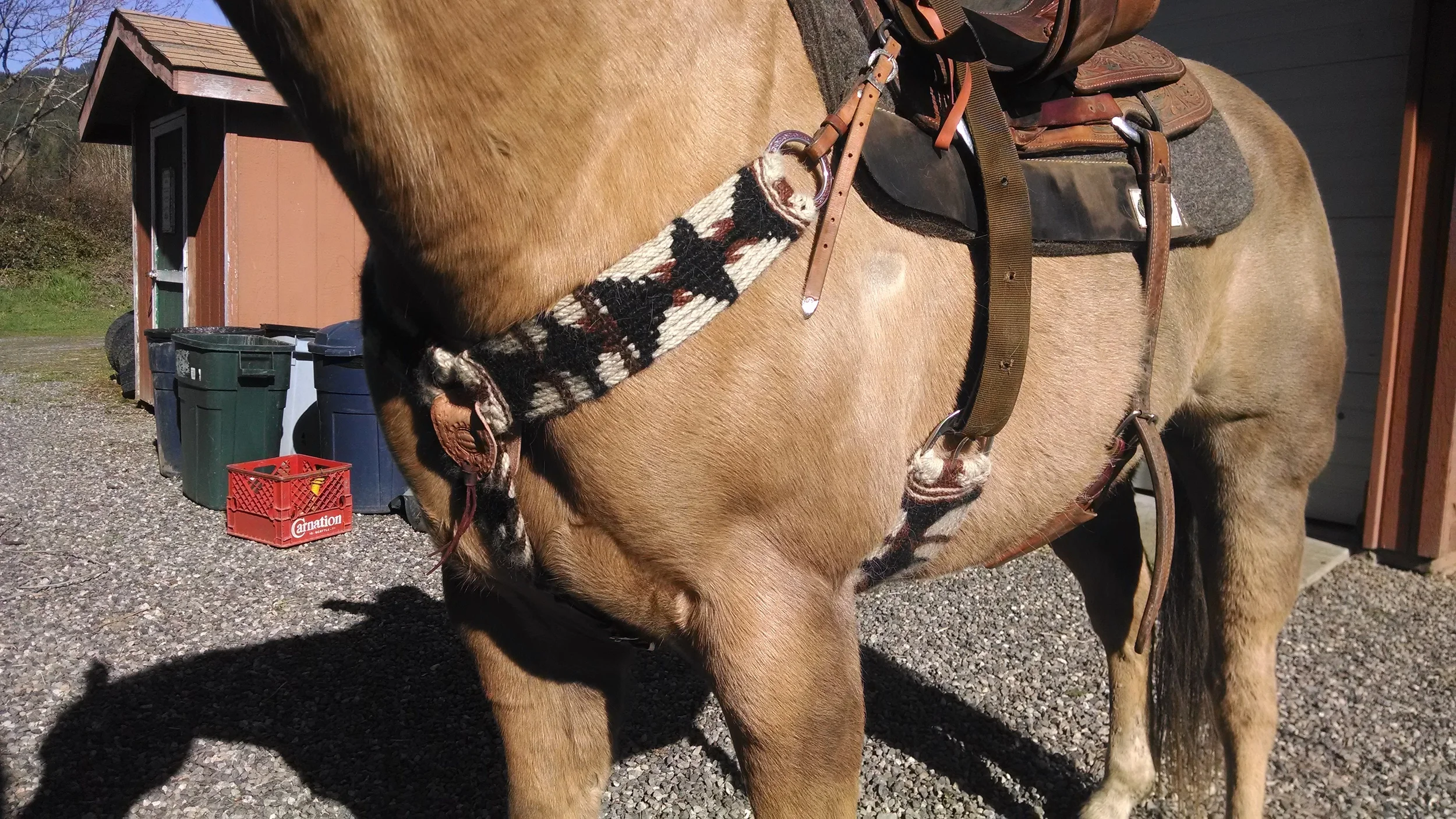 A better look at the fit of my 3 piece breast collar with Jeremiah Watt engraved rings and the leather work on the center ring.